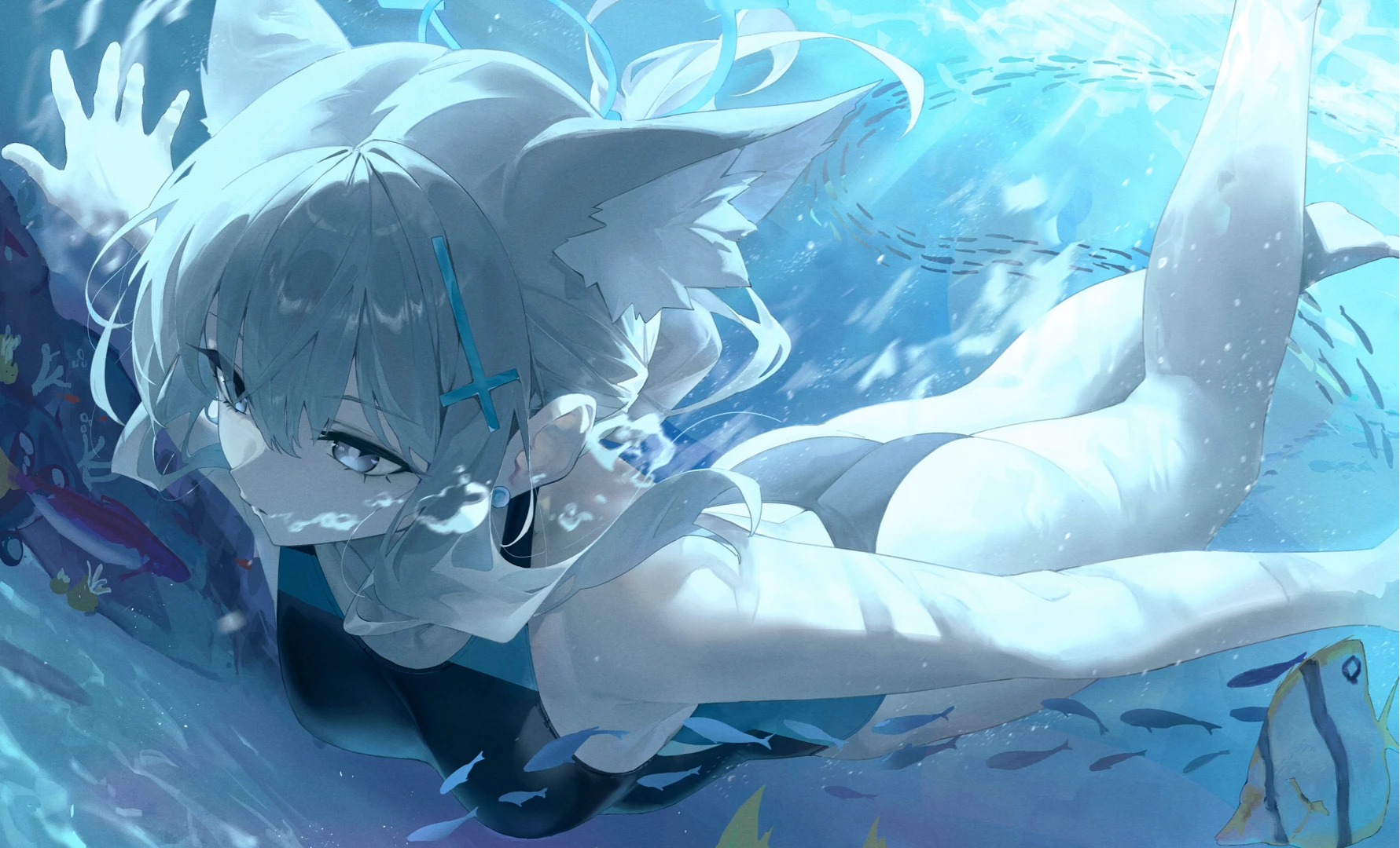 animal_ears blue_archive halo lemoneko nekomimi sunaookami_shiroko swimsuits wet