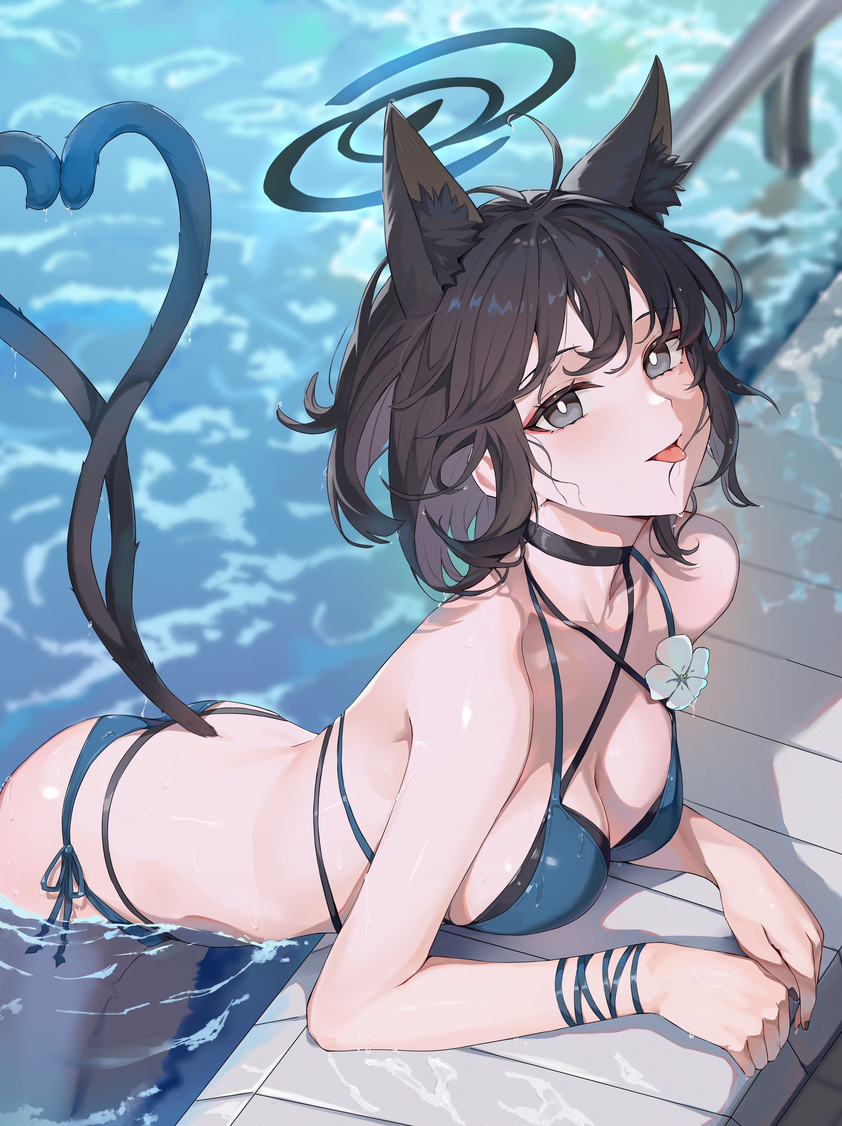 animal_ears bikini blue_archive halo kiryuu_kikyou kizuna nekomimi swimsuits tail