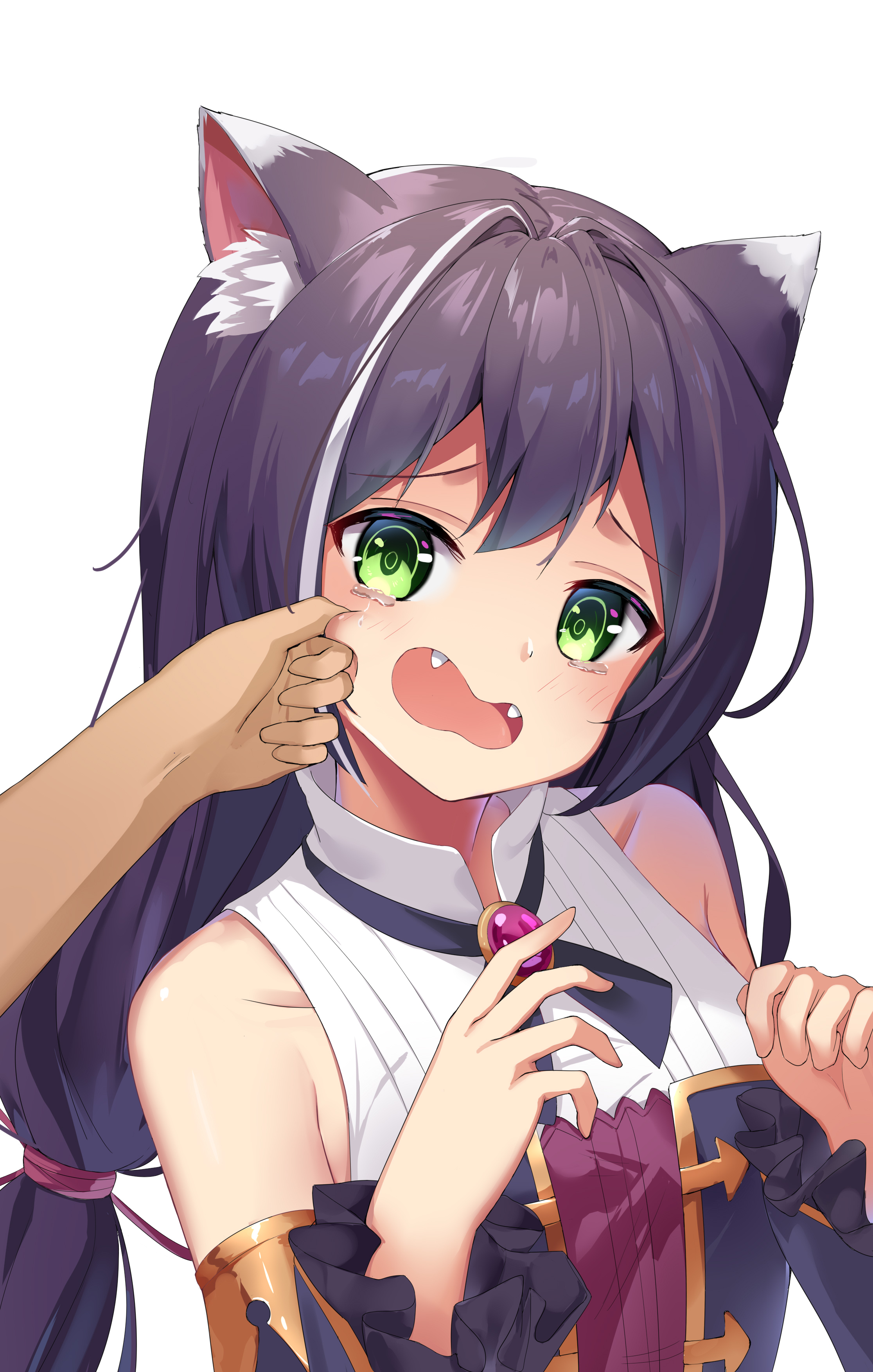 animal_ears karyl_(princess_connect) nekomimi princess_connect! princess_connect!_re:dive sakutaishi