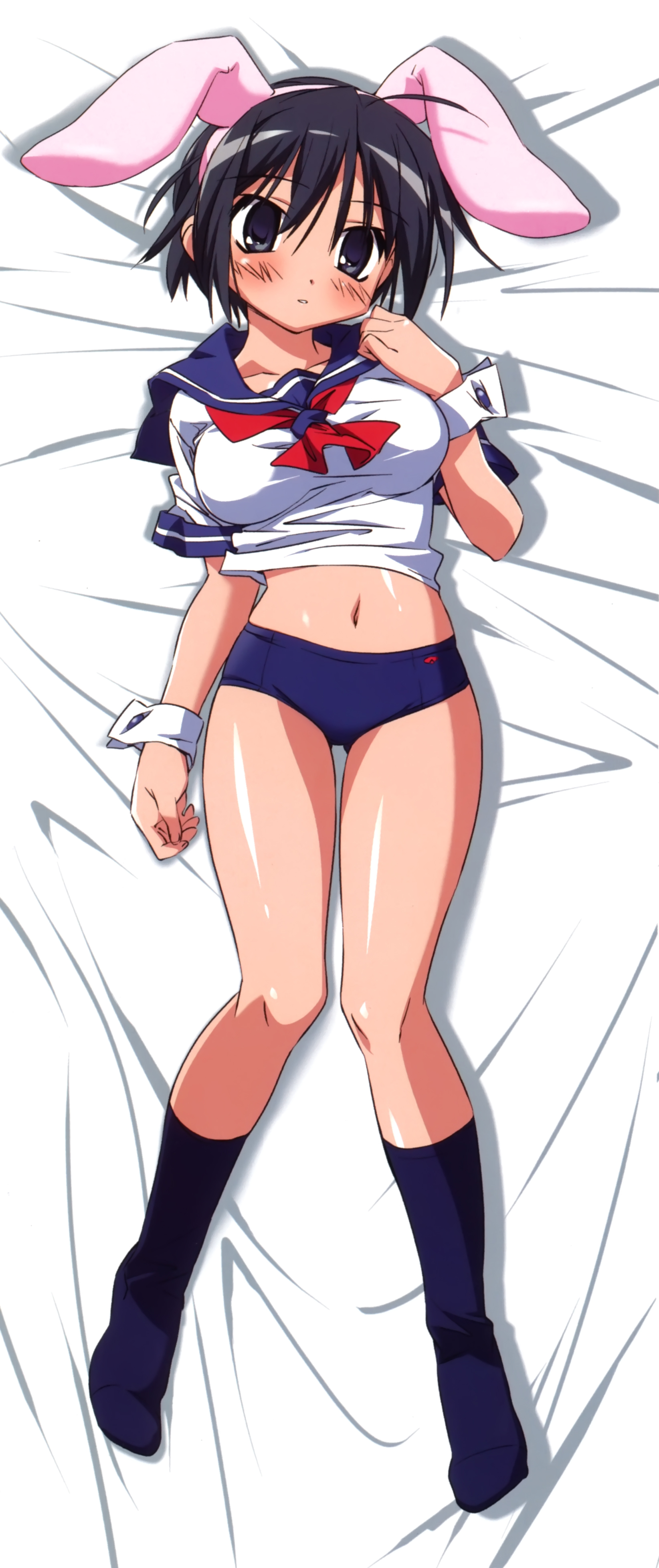 animal_ears bunny_ears buruma dakimakura he_is_my_master sawatari_izumi seifuku