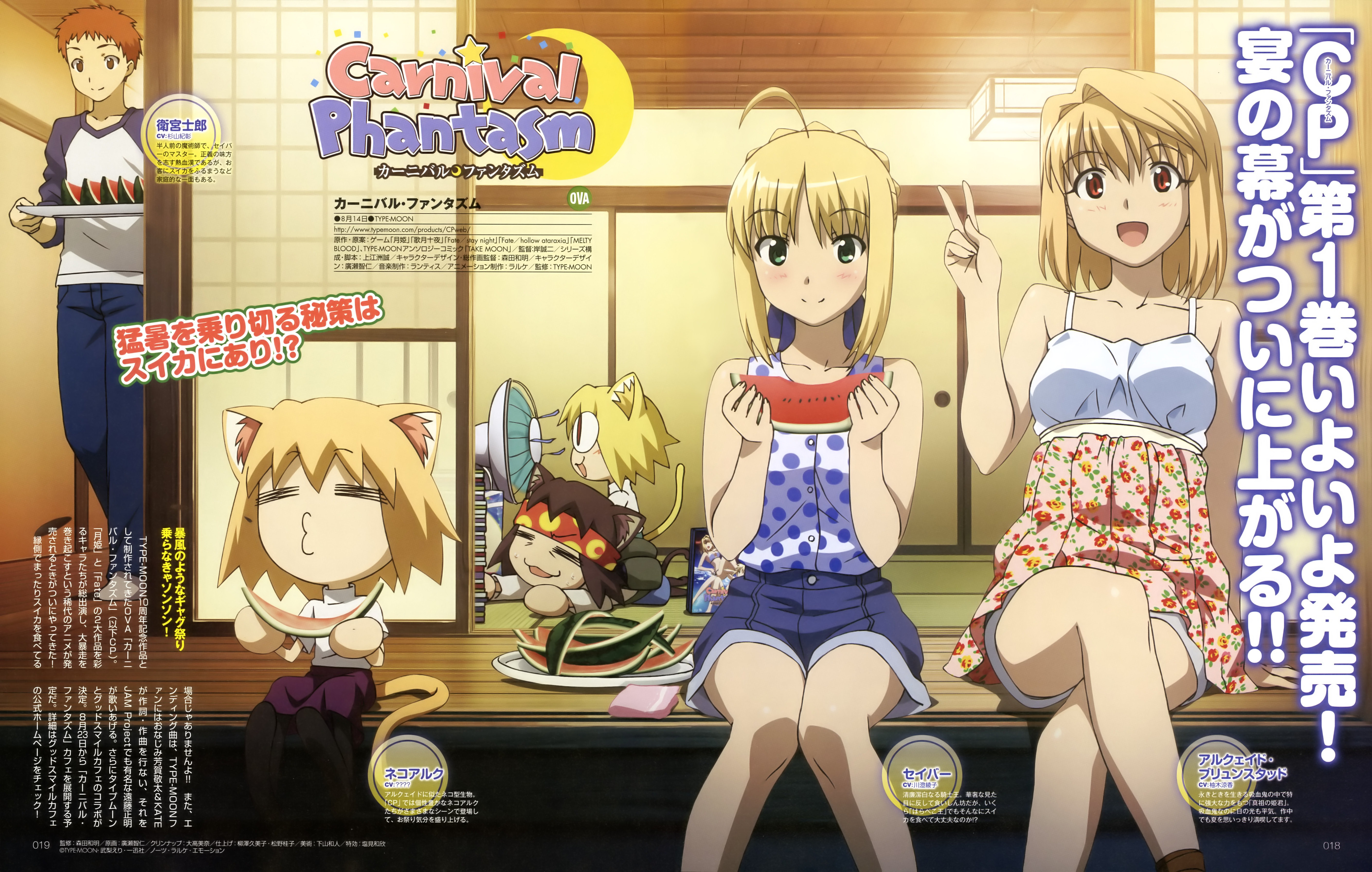 animal_ears arcueid_brunestud artoria_pendragon_(fate) carnival_phantasm chibi crossover emiya_shirou fate/stay_night hirose_tomohito neko_arc neko_arc_bubbles neko_arc_evolution nekomimi tail tsukihime