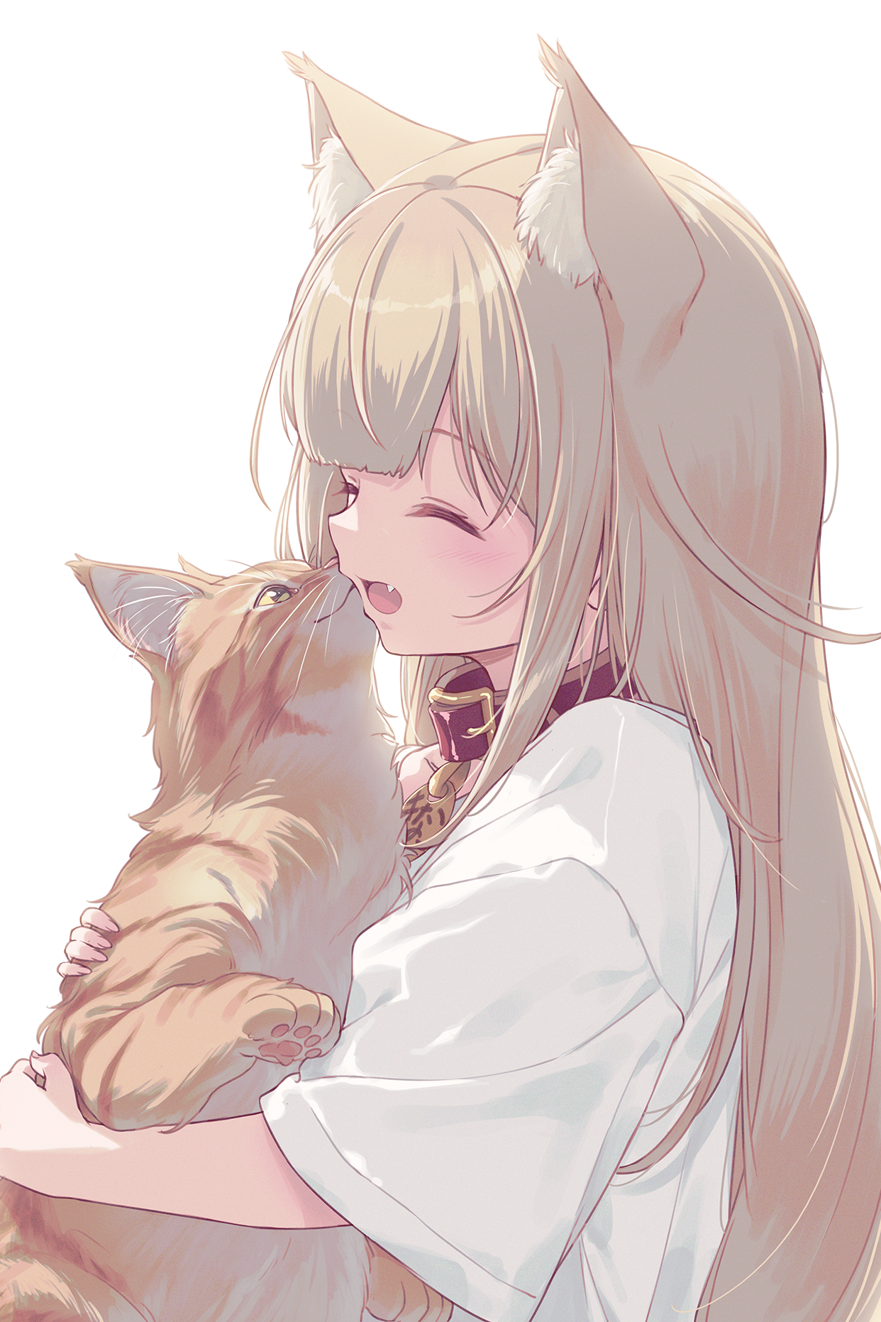 40hara animal_ears kinako_(40hara) neko nekomimi