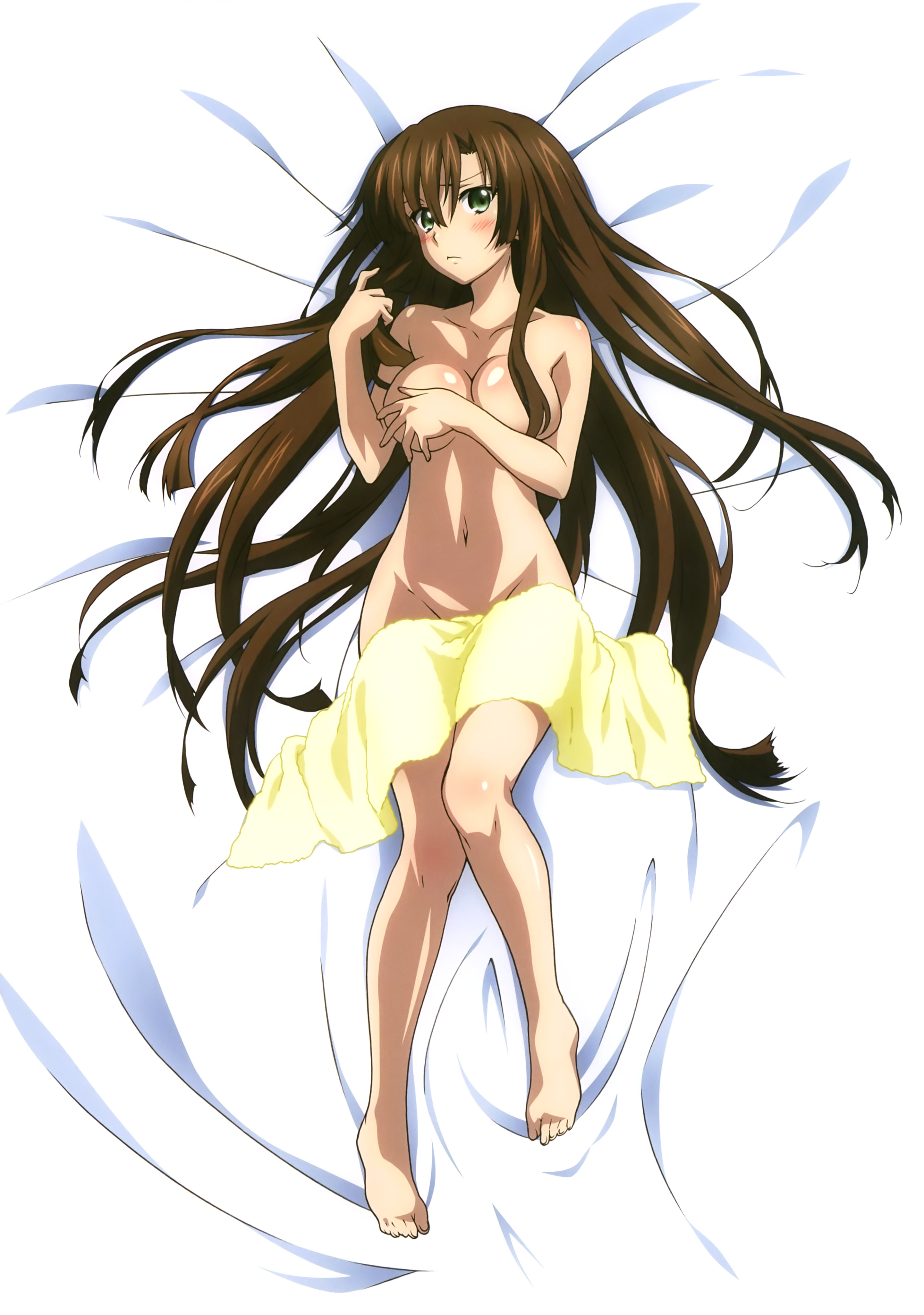 breast_hold dakimakura kirasaka_sayaka naked strike_the_blood tagme towel