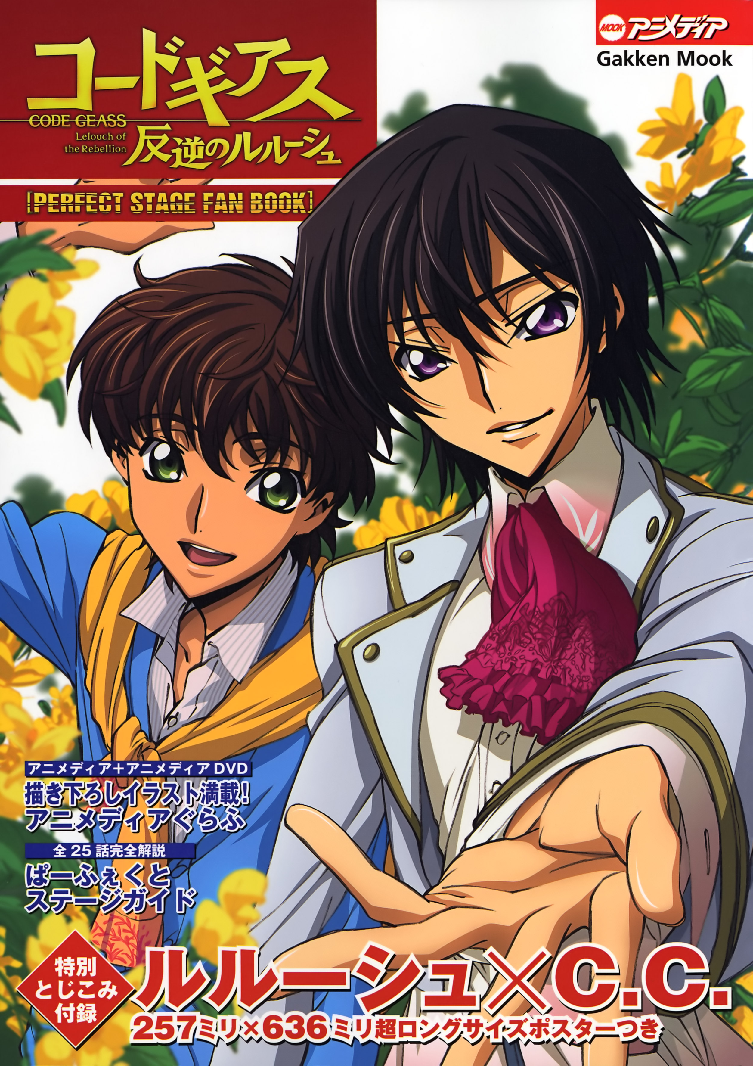 Download Lelouch Lamperouge And Kururugi Suzaku In Full Action