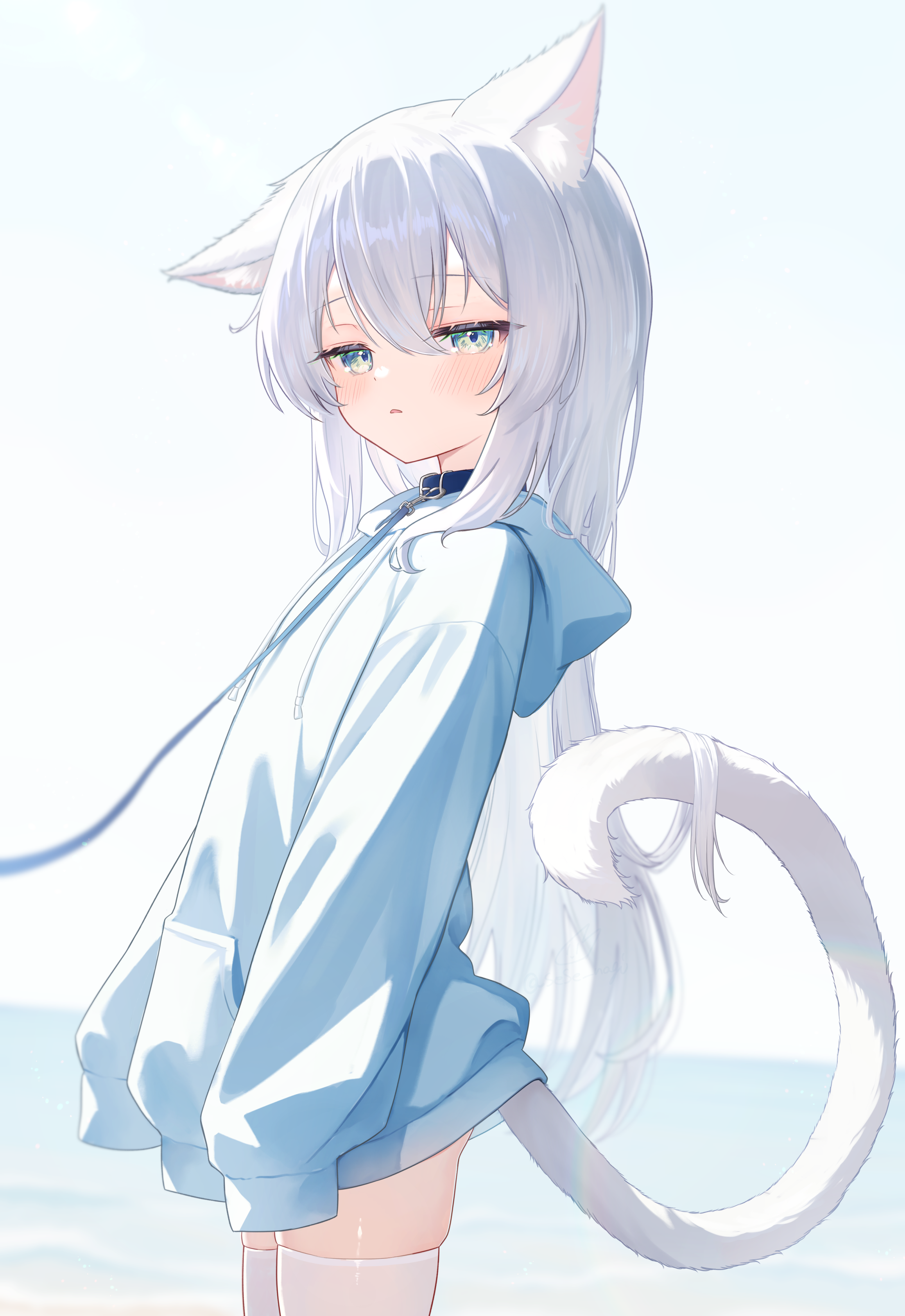 animal_ears nekomimi sese_nagi tail thighhighs