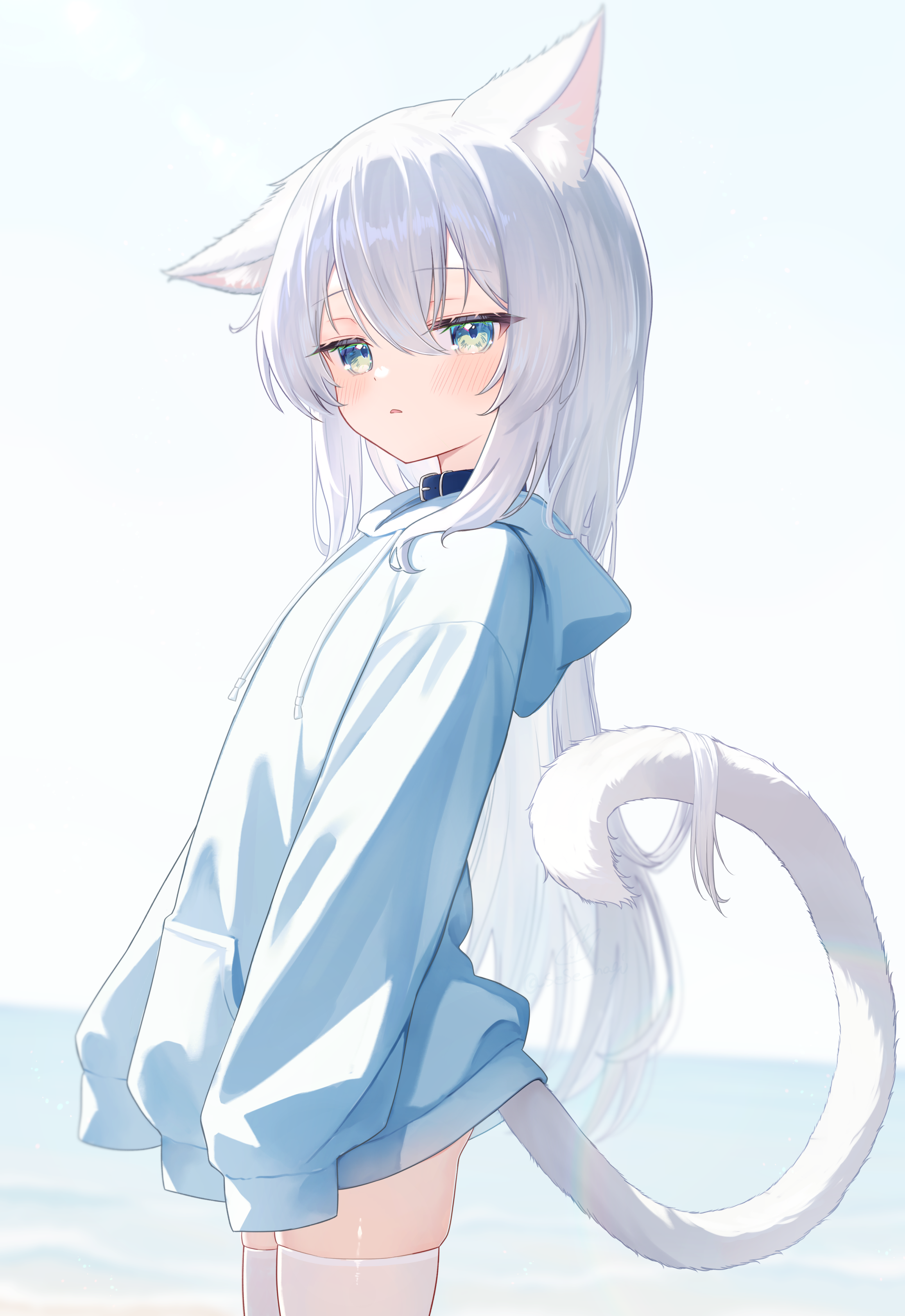 animal_ears nekomimi sese_nagi tail thighhighs