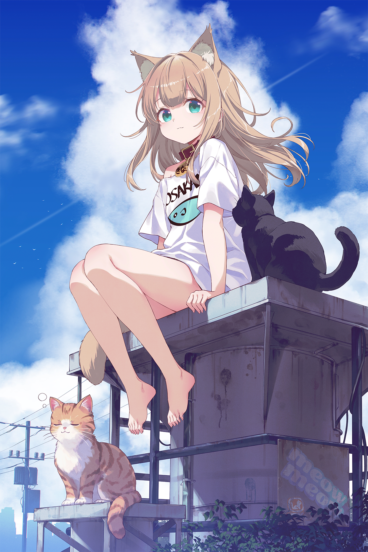 40hara animal_ears kinako_(40hara) neko nekomimi tail