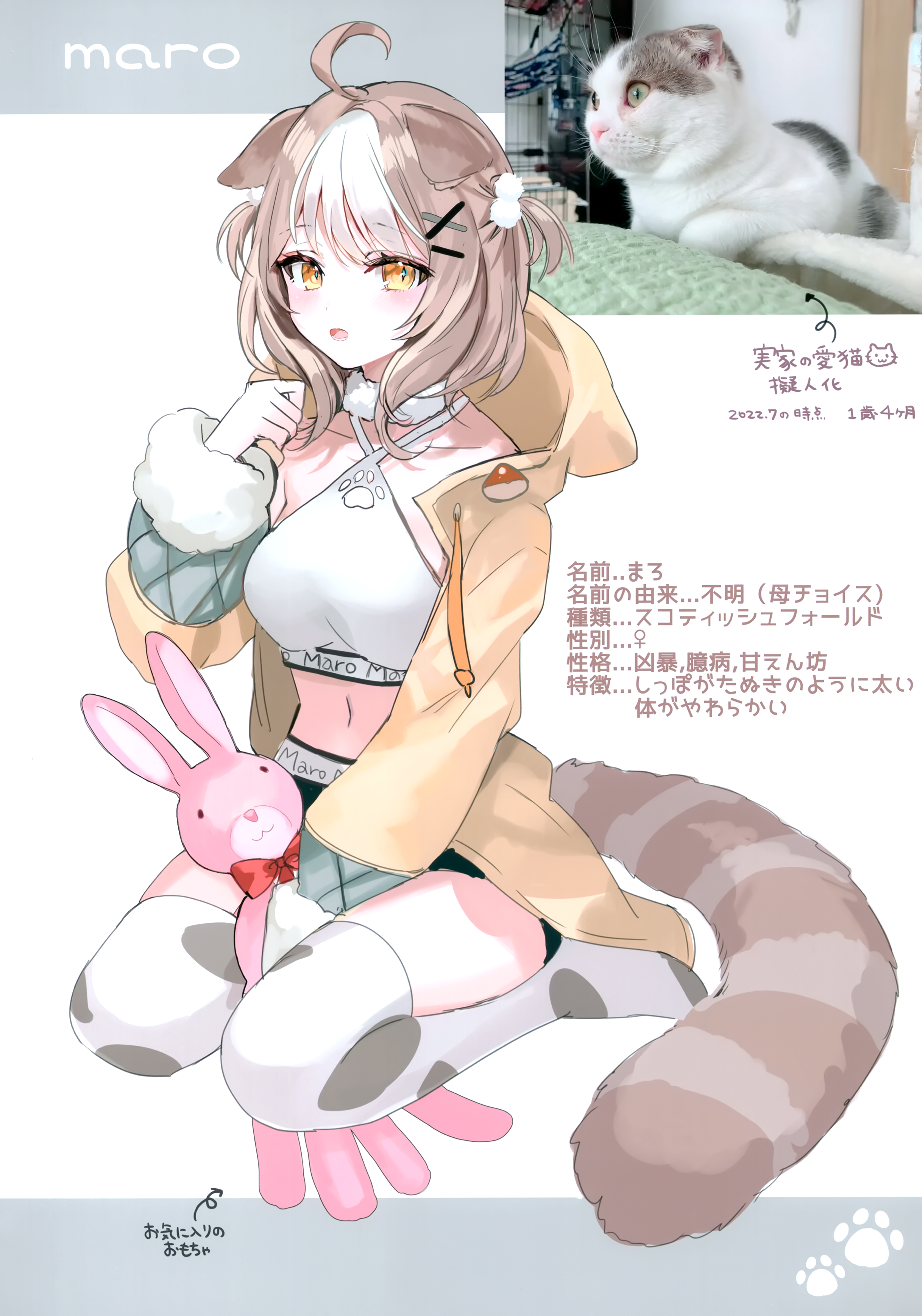 animal_ears momoko_(momopoco) photo sashimi_necoya tail thighhighs