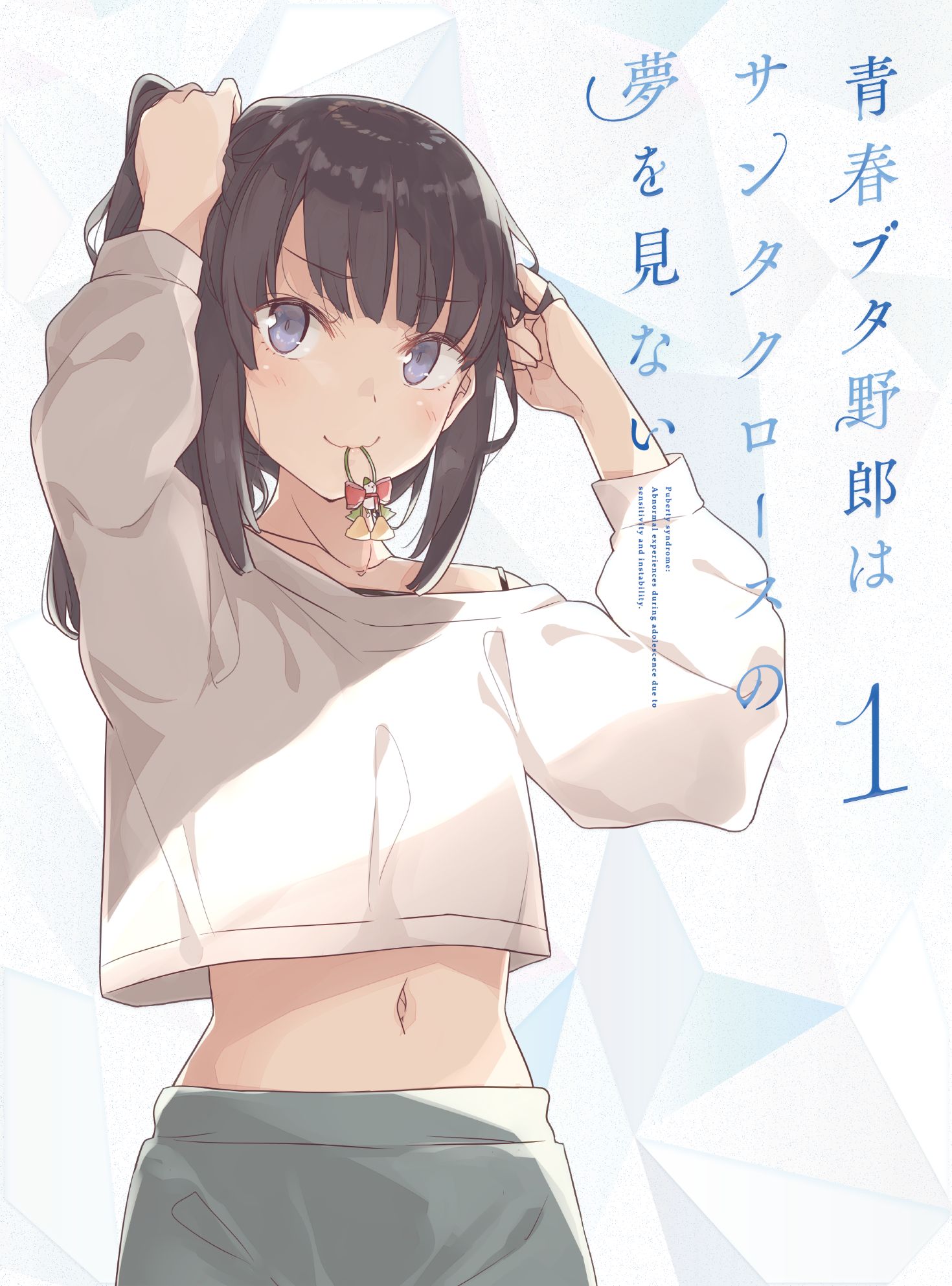 disc_cover hirokawa_uzuki mizoguchi_keiji seishun_buta_yarou