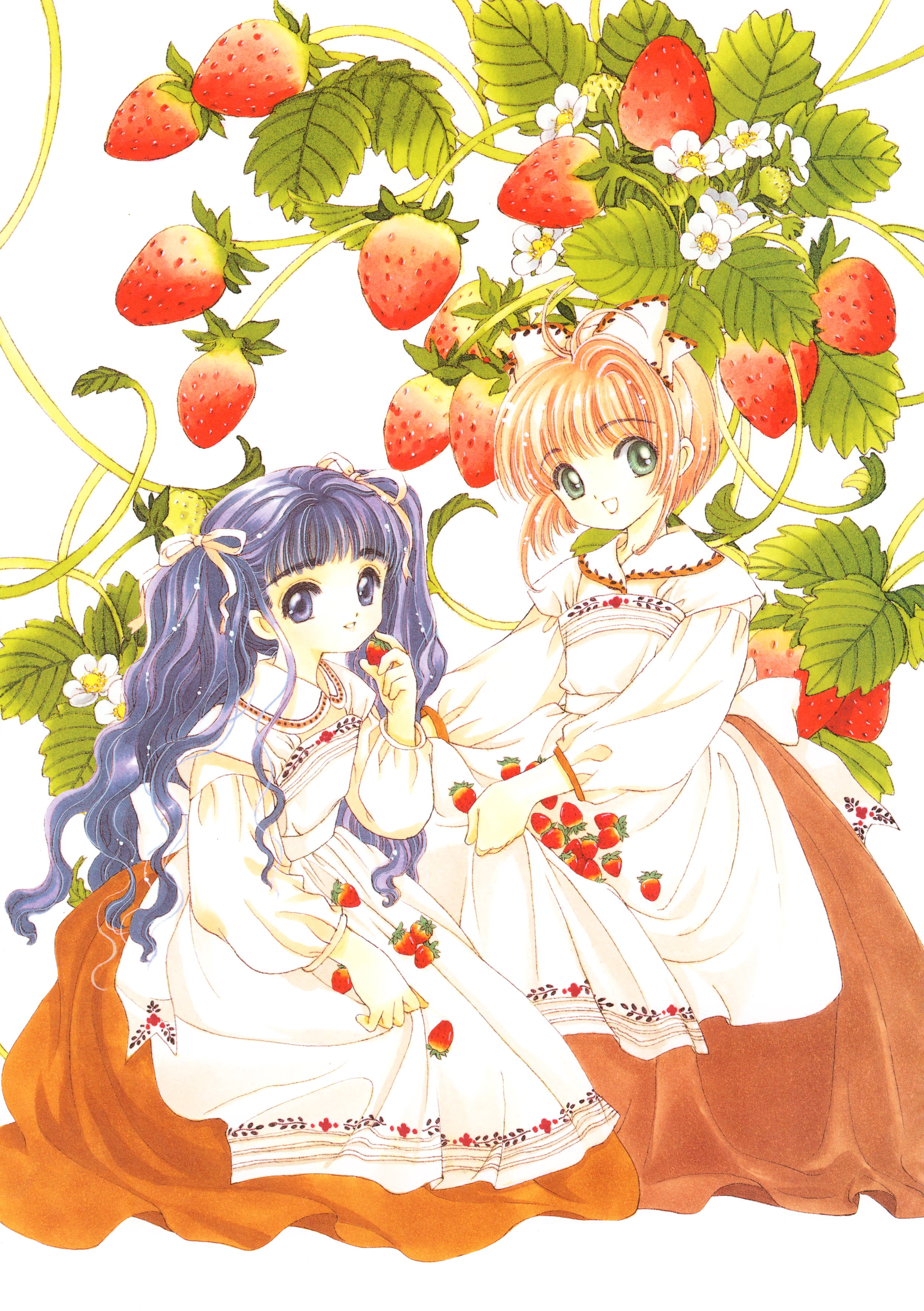 Clamp Fãs - #Tomoyo ***CURIOSIDADE*** Você Sabia??? Sakura Card