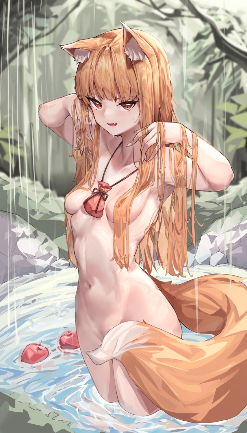 animal_ears holo mung_(larnec) naked spice_and_wolf tail wet