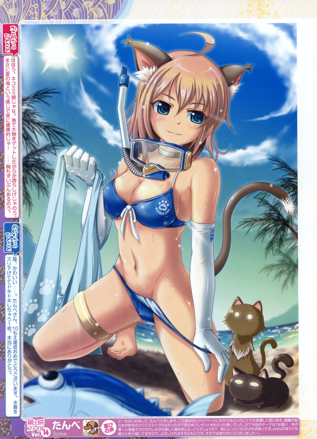 animal_ears bikini nekomimi swimsuits tail tanbe