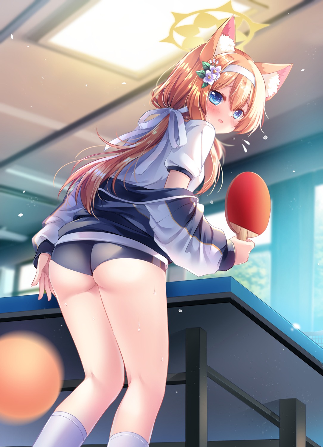 animal_ears ass blue_archive buruma gym_uniform halo iochi_mari loli nekomimi sakurano_ruu see_through