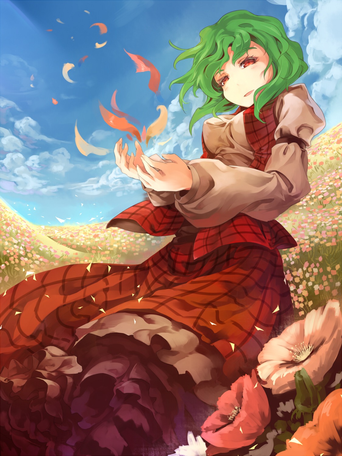 asu_tora kazami_yuuka touhou