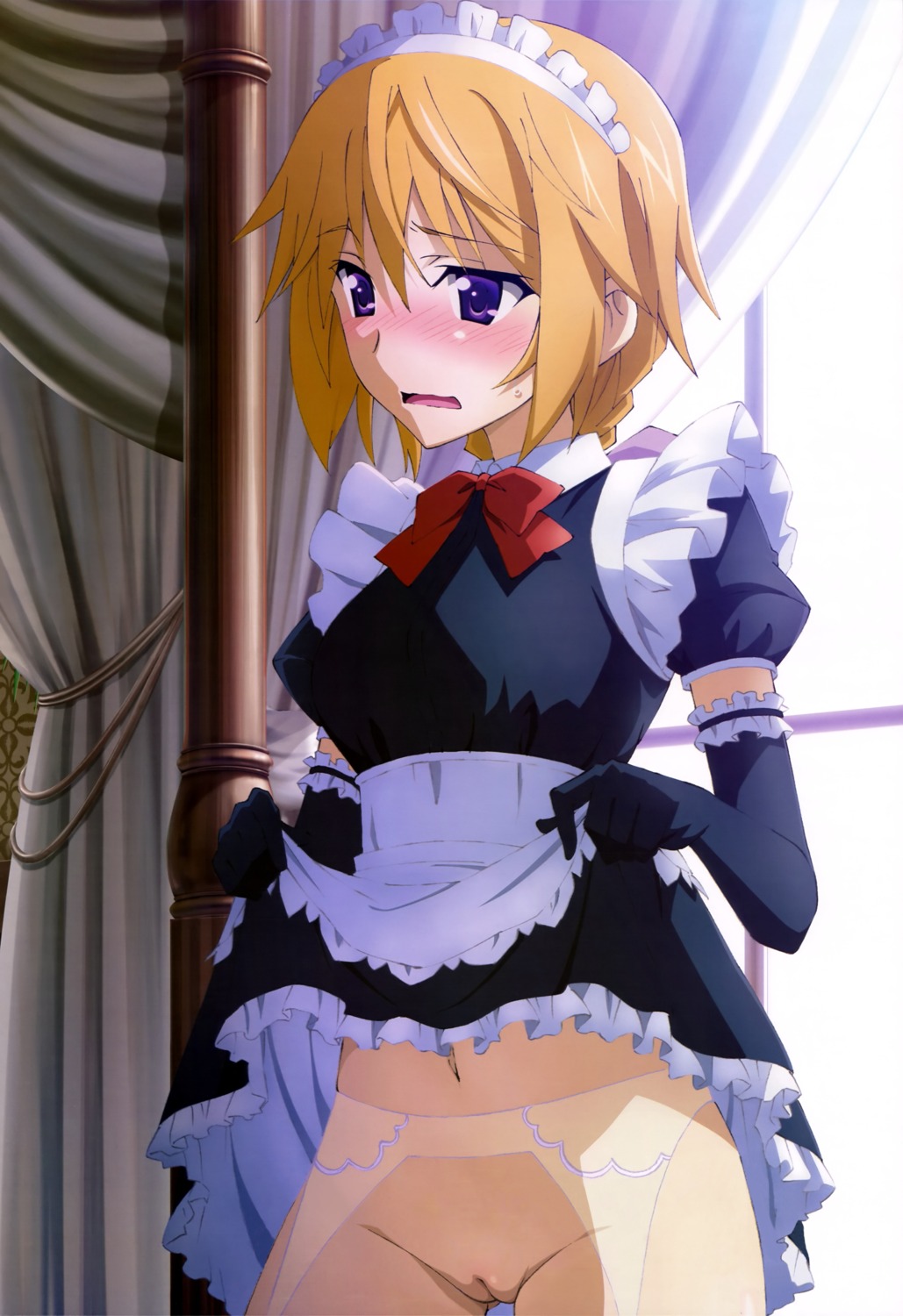 charlotte_dunois garter_belt infinite_stratos maid nopan photoshop pussy skirt_lift stockings thighhighs uncensored