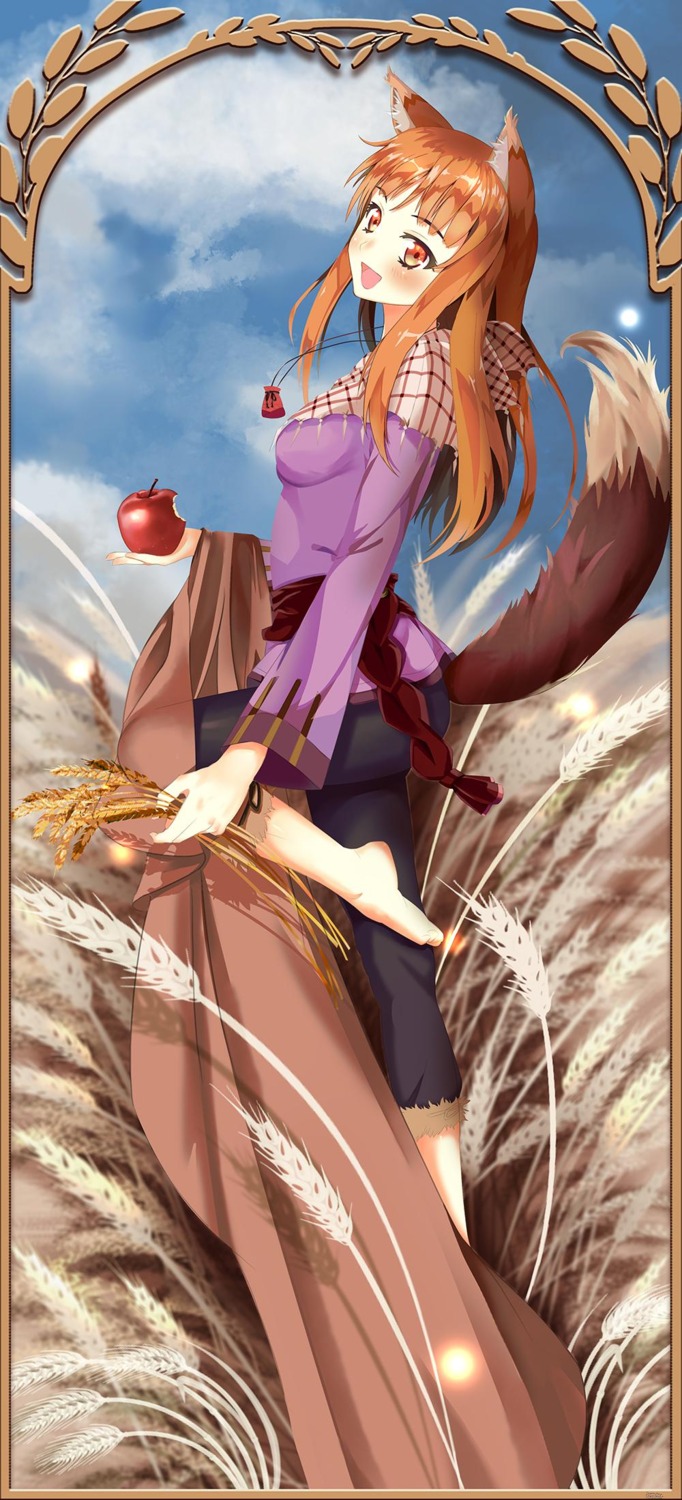 animal_ears feet holo meco spice_and_wolf tail