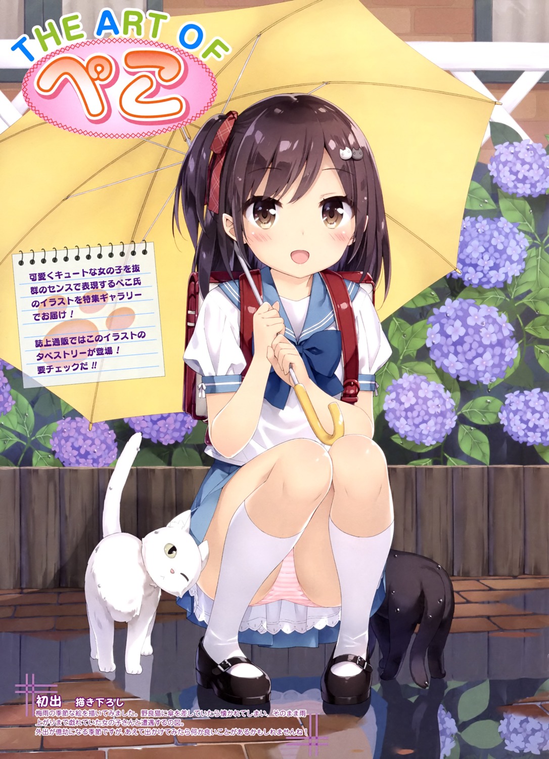 kani_biimu neko pantsu seifuku shimapan umbrella