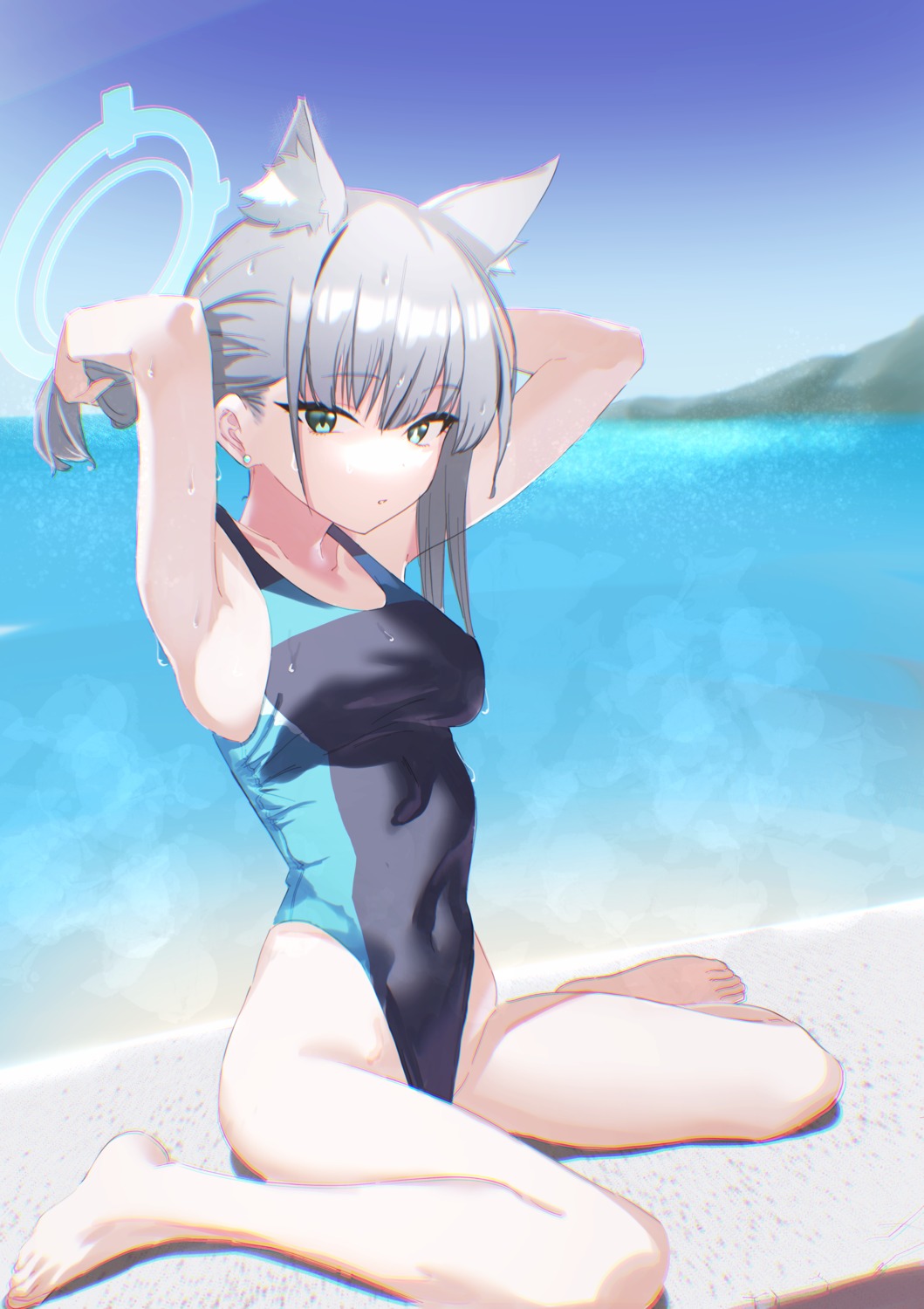 animal_ears blue_archive erory6_(ro) halo nekomimi sunaookami_shiroko swimsuits wet wet_clothes