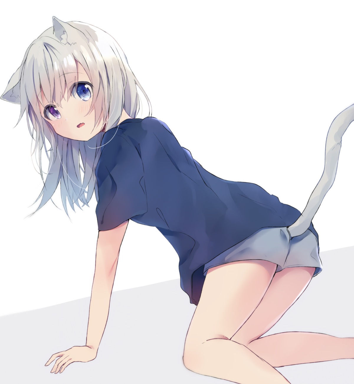 animal_ears asanagi_kurumi_(panda-doufu) heterochromia nekomimi tail