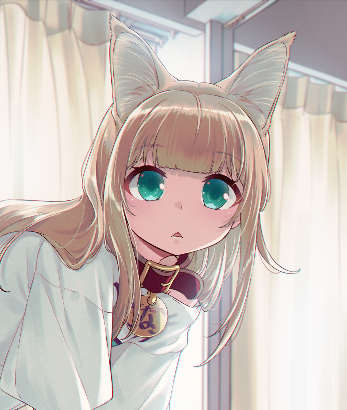 40hara animal_ears nekomimi