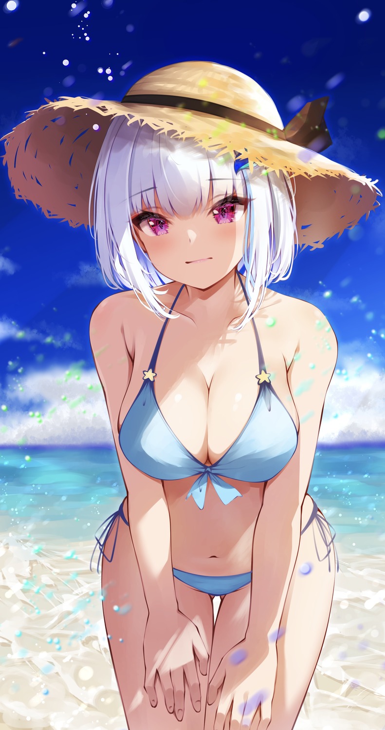 bikini lize_helesta nagori0127 nijisanji swimsuits