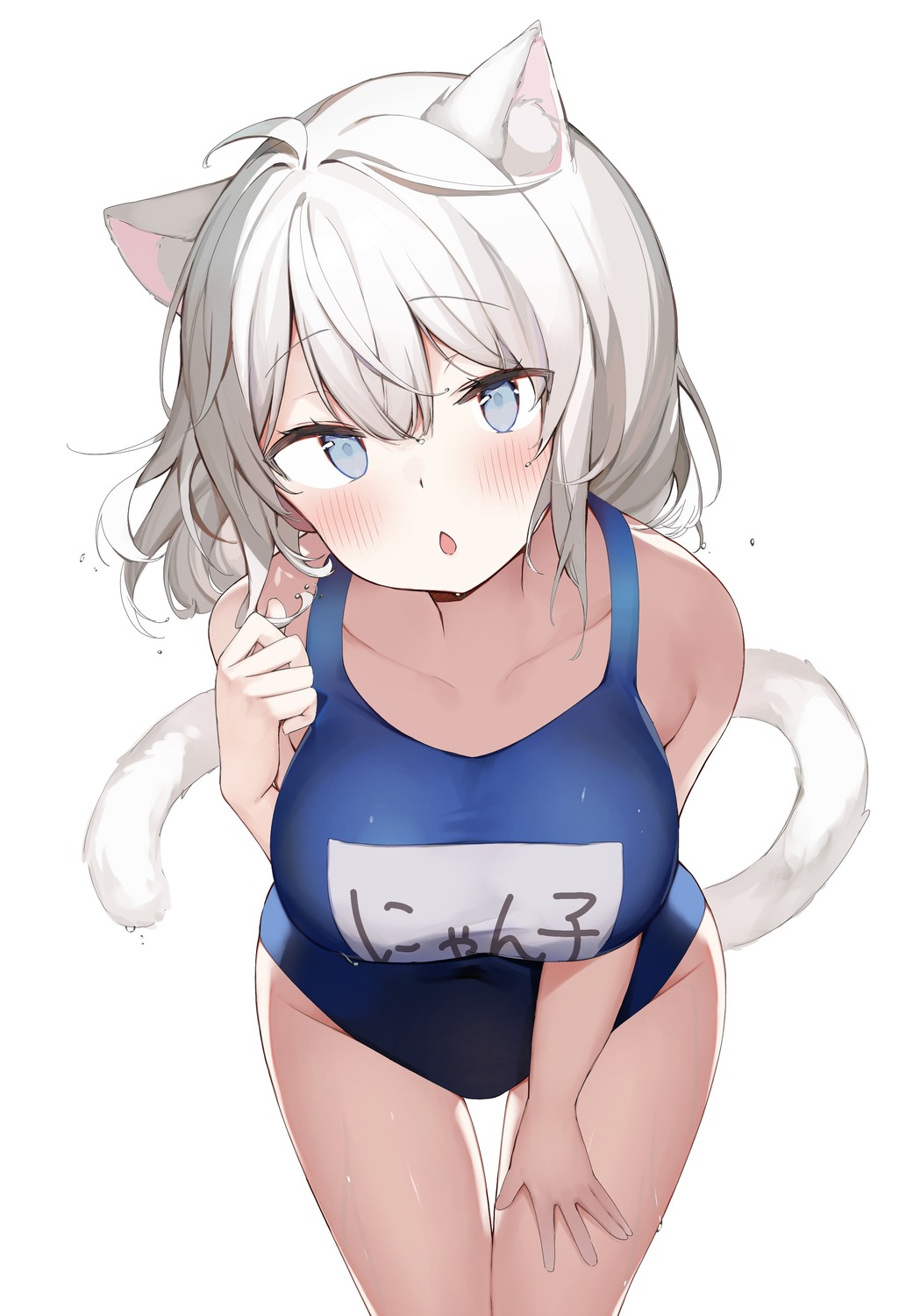 animal_ears nekomimi school_swimsuit sinnop10 swimsuits tail