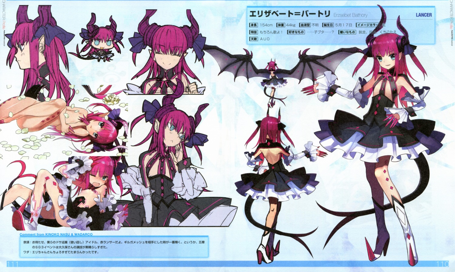 Type Moon Fate Extra Fate Extra Ccc Fate Stay Night Elizabeth Bathory Yande Re