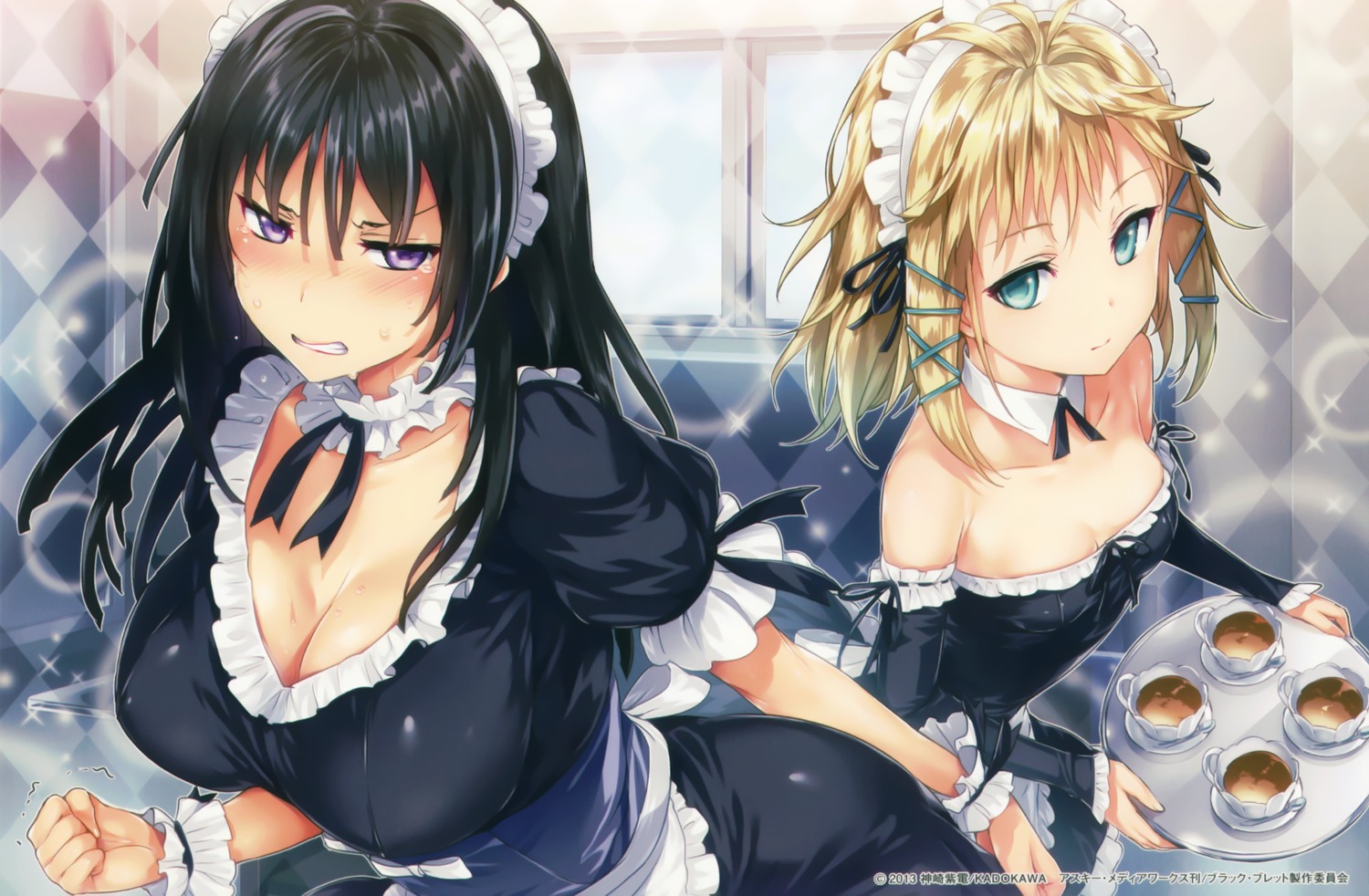 black_bullet cleavage endcard hisasi maid tendou_kisara tina_sprout