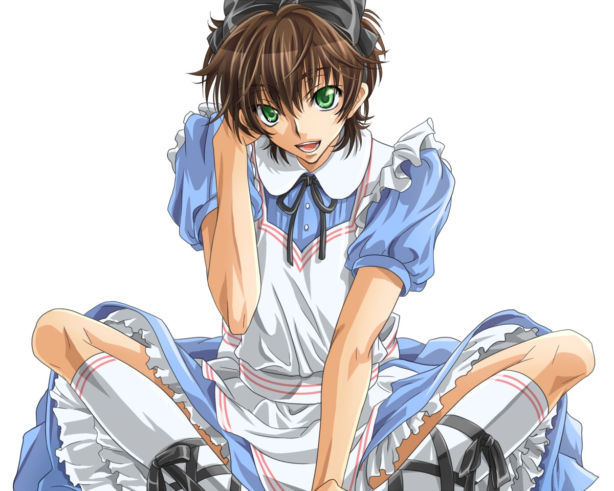 alice_in_wonderland code_geass cosplay crossdress dress kururugi_suzaku male tooya