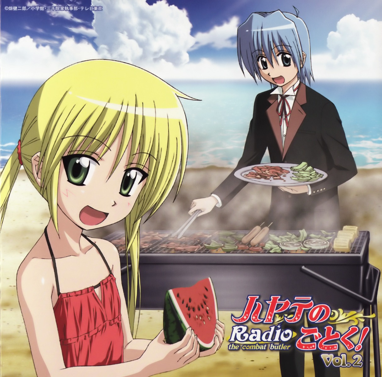 ayasaki_hayate disc_cover hayate_no_gotoku sanzenin_nagi