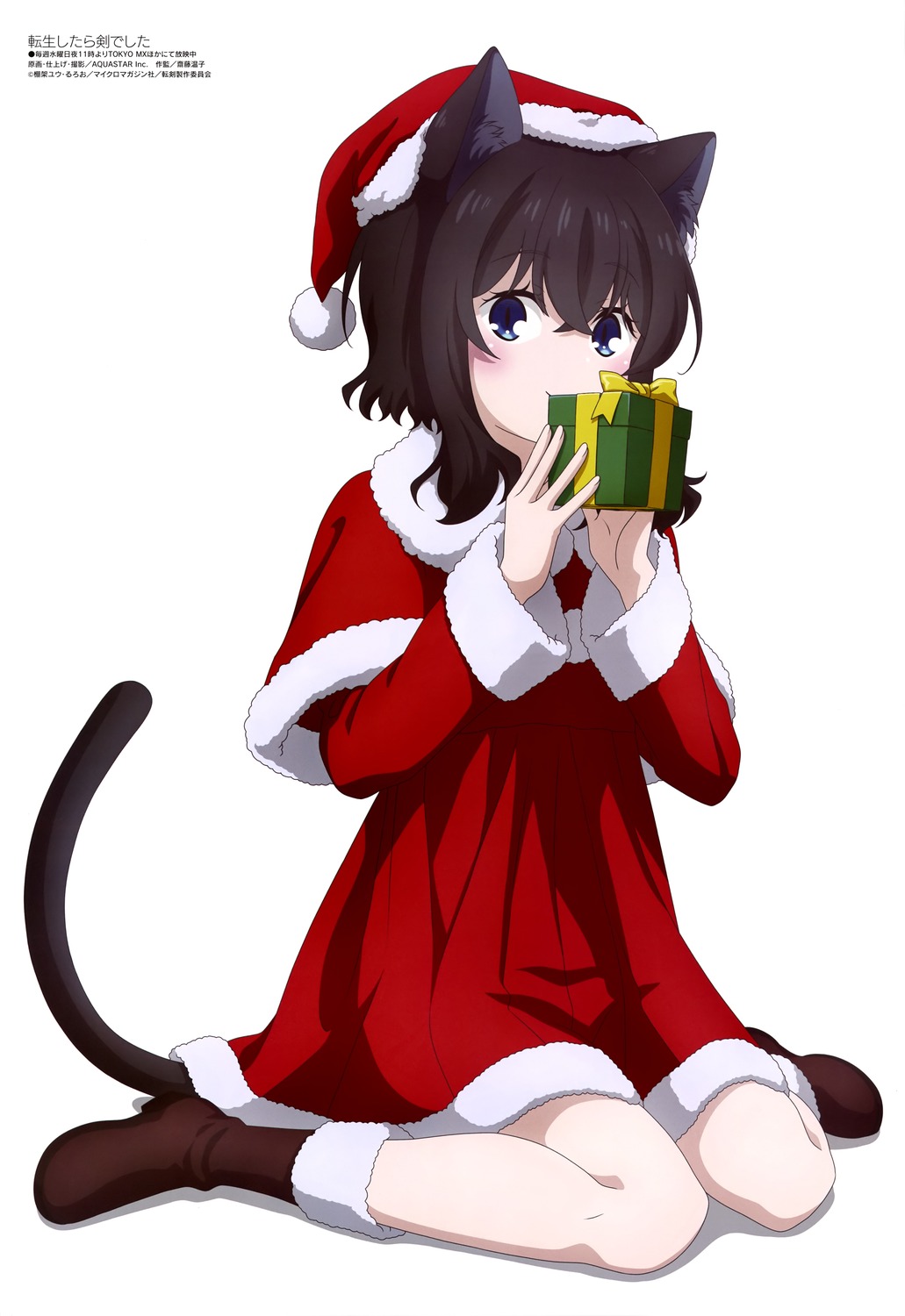 animal_ears aquastar_inc. christmas dress fran_(tensei_shitara_ken_deshita) nekomimi tail tensei_shitara_ken_deshita