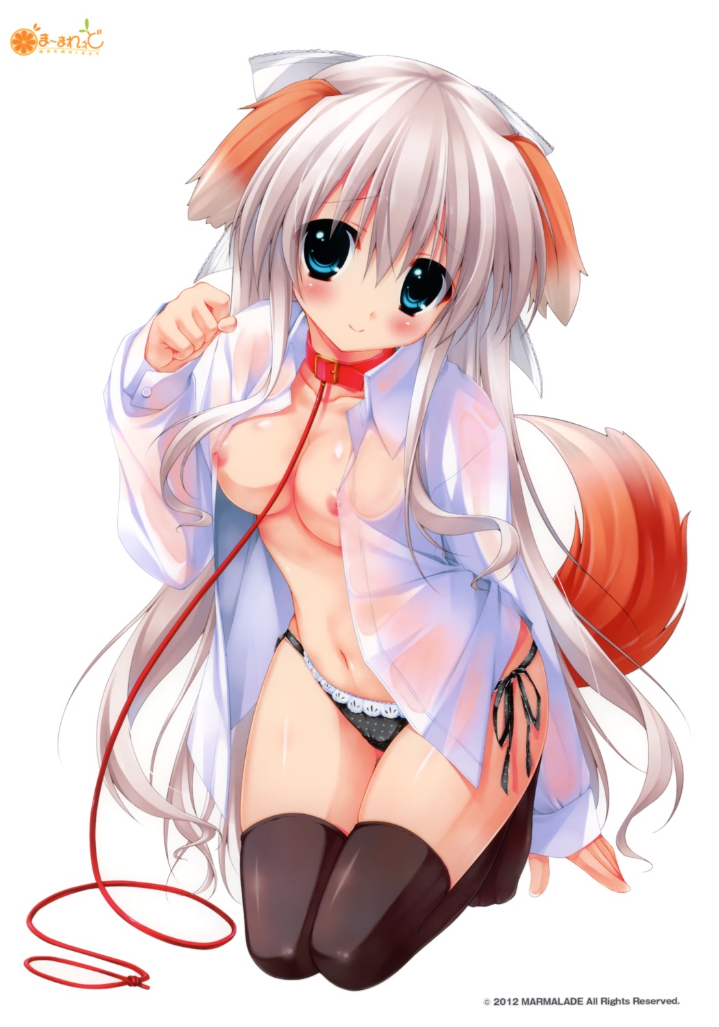 animal_ears chikotam inumimi koiiro_marriage luriastis_t._mikuriya nipples no_bra open_shirt pantsu see_through string_panties tail thighhighs