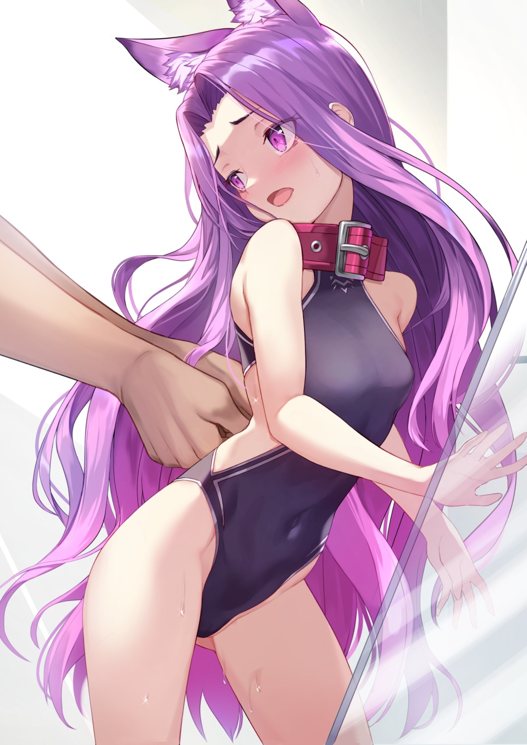 animal_ears fate/grand_order medusa_(lancer) rui_rubellent swimsuits