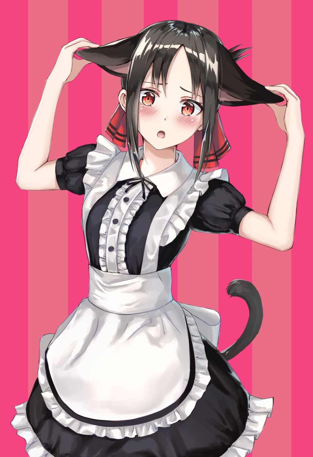 animal_ears kaguya-sama_wa_kokurasetai_~tensai-tachi_no_renai_zunousen~ kokose maid nekomimi shinomiya_kaguya tail