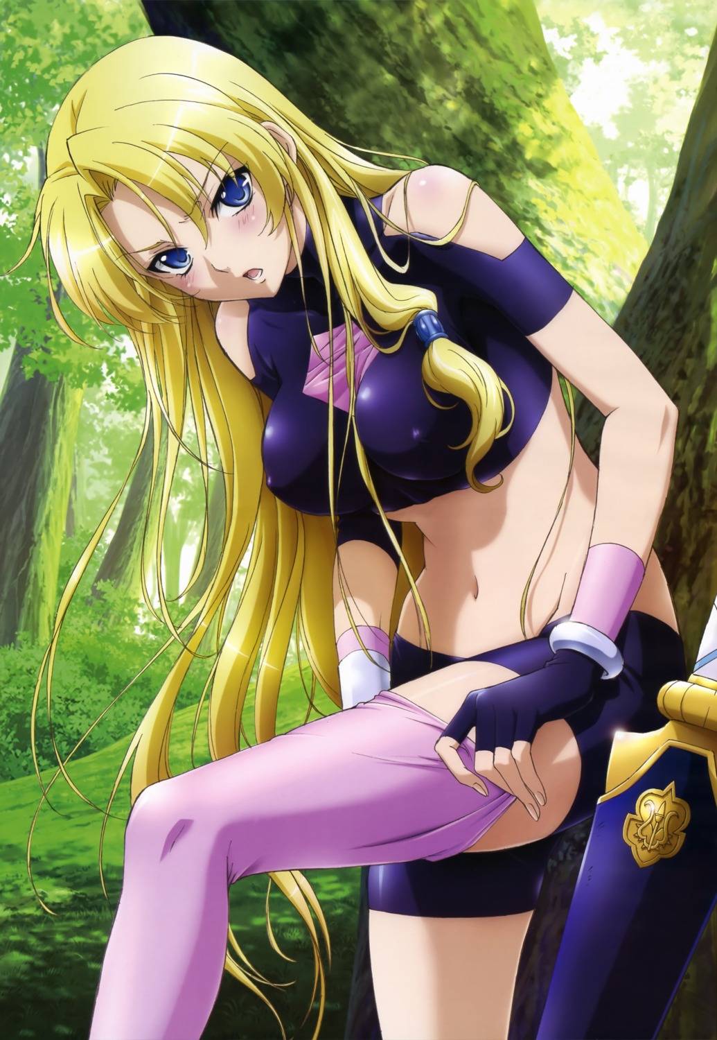erect_nipples ferris_eris legend_of_the_legendary_heroes nakamura_miyuki sword thighhighs undressing