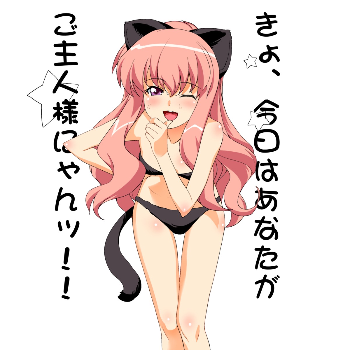 a1 animal_ears bra initial-g louise nekomimi pantsu zero_no_tsukaima