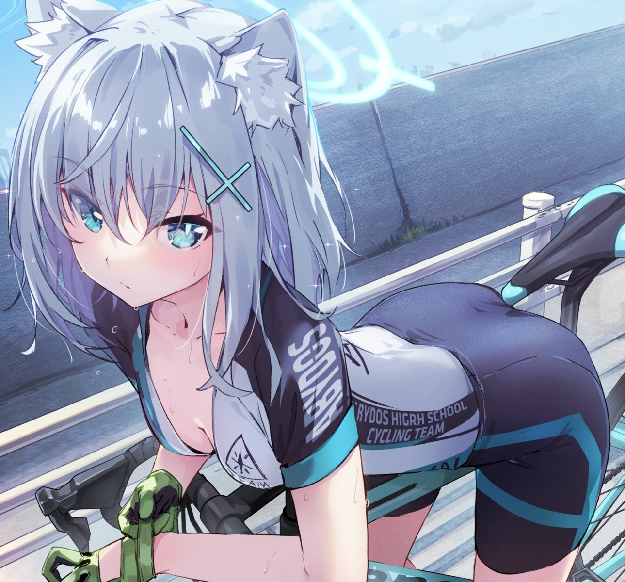 animal_ears bike_shorts blue_archive cleavage eva_mashiro halo nekomimi sunaookami_shiroko