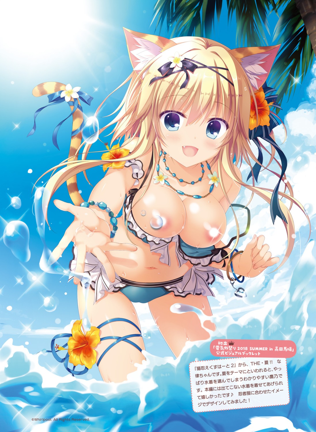 animal_ears bikini breasts cameltoe garter neko-nin_exheart neko-nin_exheart_2 nekokai_ritsu nekomimi nipples swimsuits tail takano_yuki wardrobe_malfunction wet whirlpool