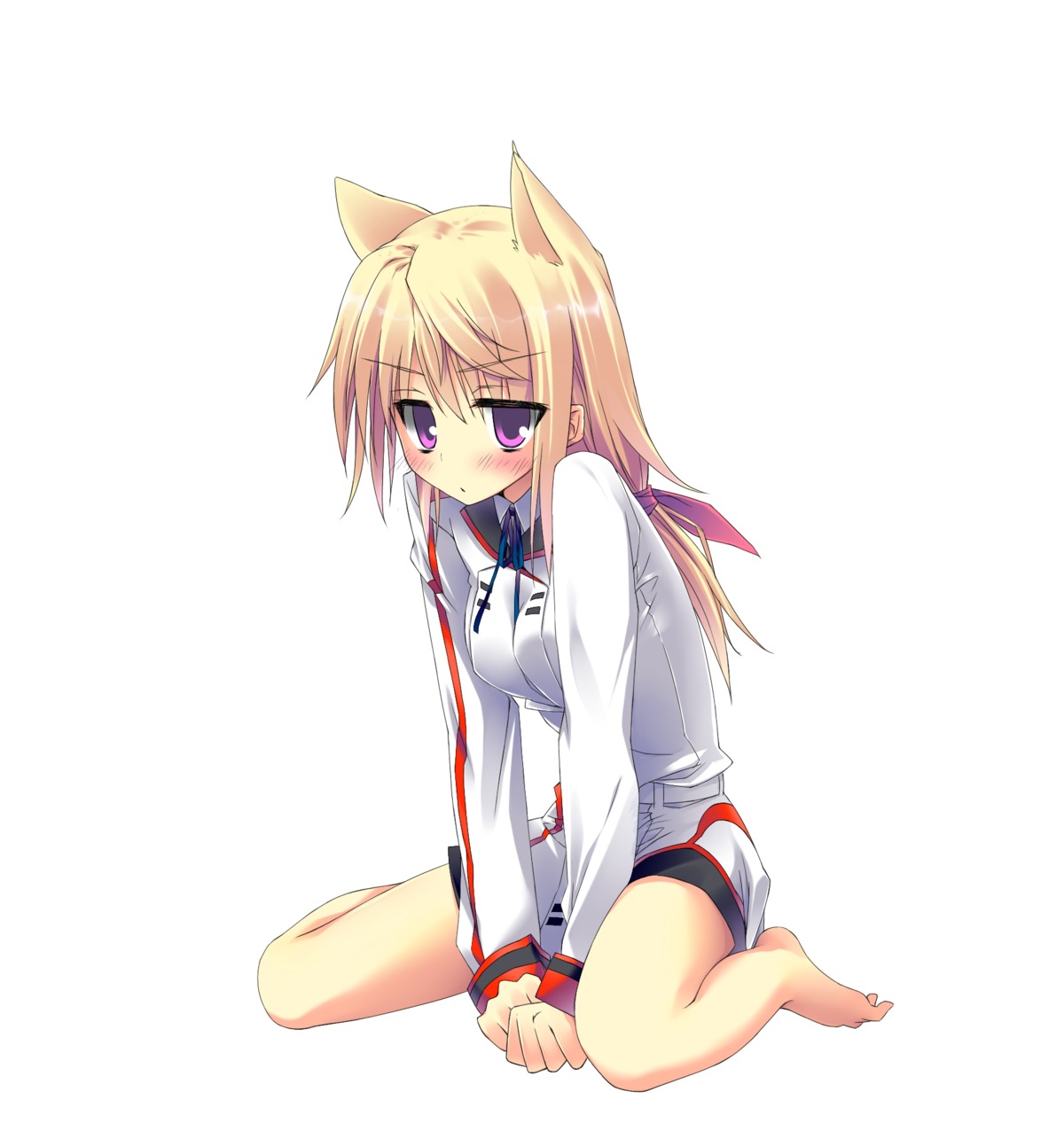 animal_ears charlotte_dunois infinite_stratos ite_fuji seifuku