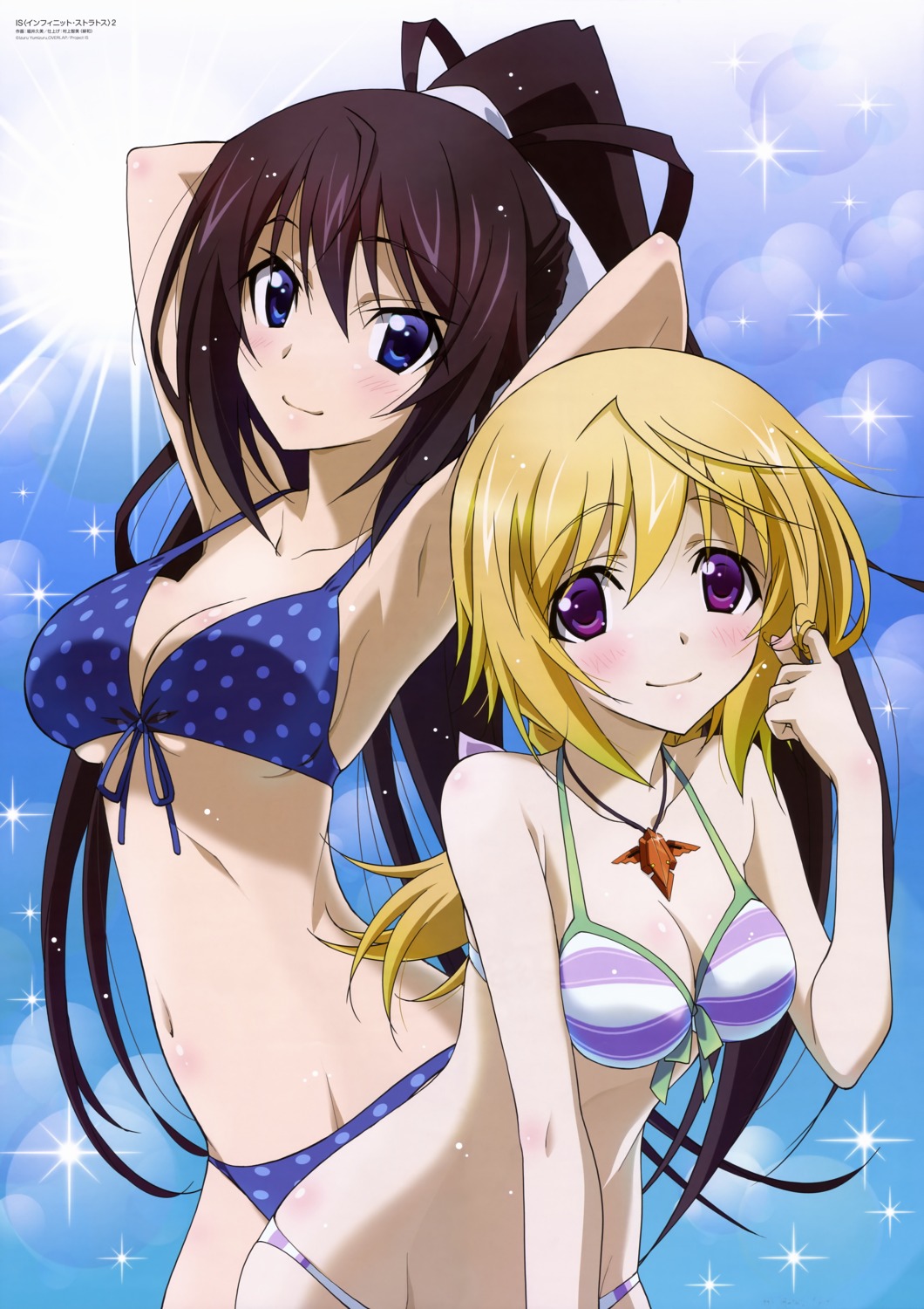 bikini charlotte_dunois cleavage horii_kumi infinite_stratos shinonono_houki swimsuits