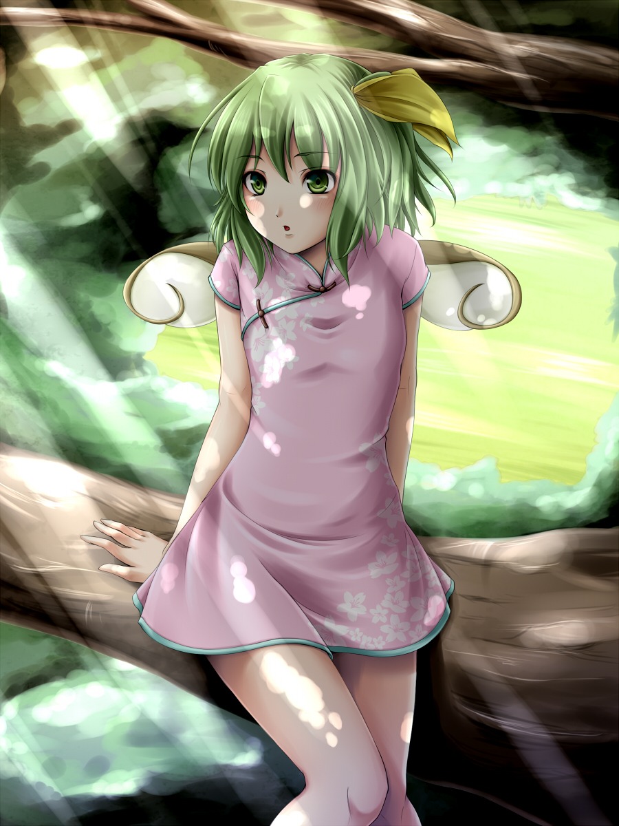 daiyousei mochi.f touhou