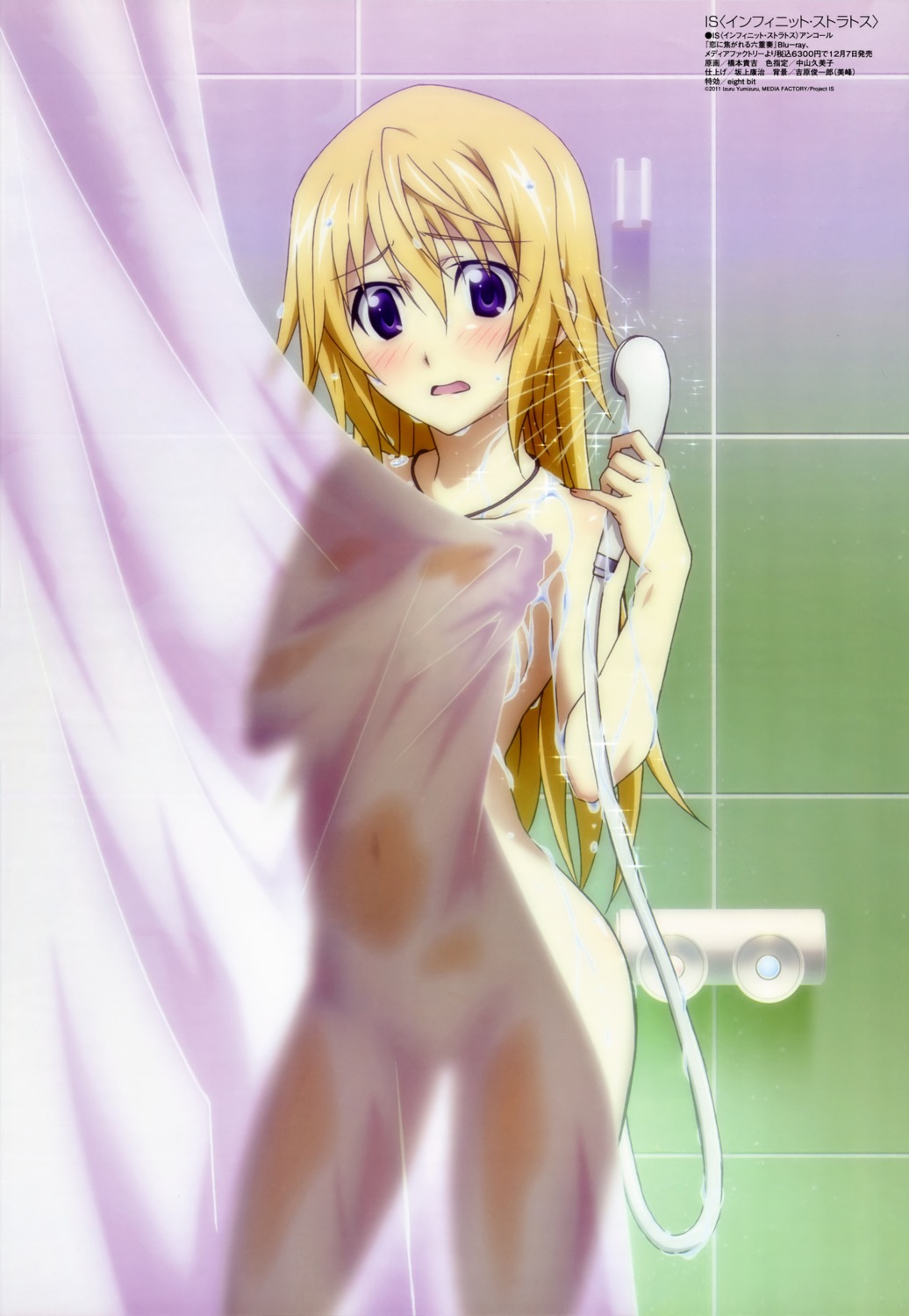 bathing charlotte_dunois hashimoto_takayoshi infinite_stratos naked see_through wet