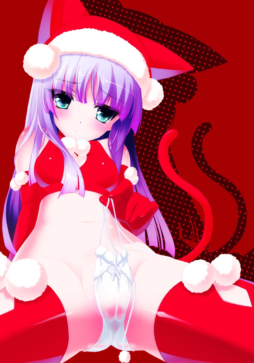 animal_ears cameltoe christmas erect_nipples hinasaki nekomimi pantsu see_through silhouette string_panties tail thighhighs