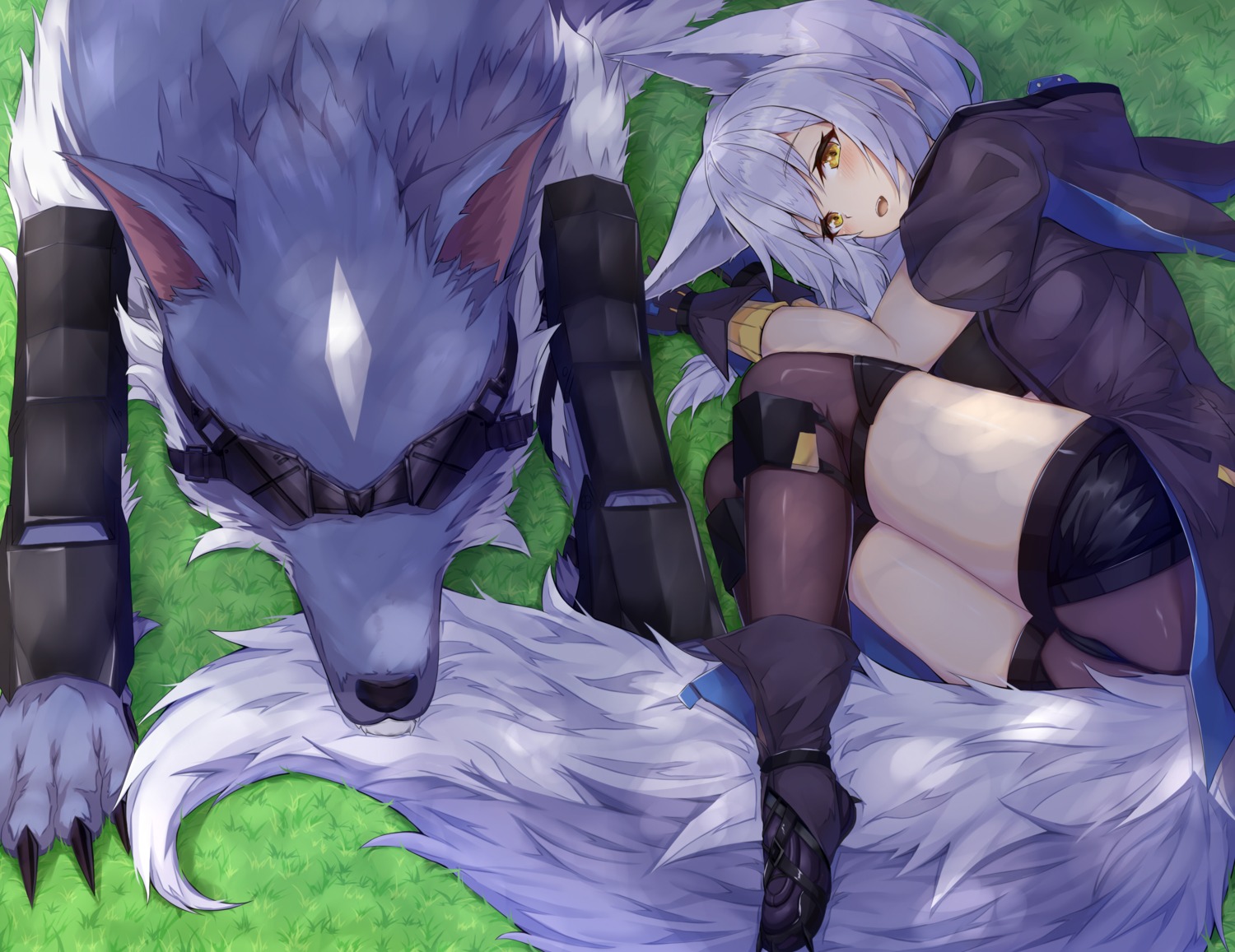 animal_ears arknights ponta_(velmar) provence_(arknights) tail thighhighs