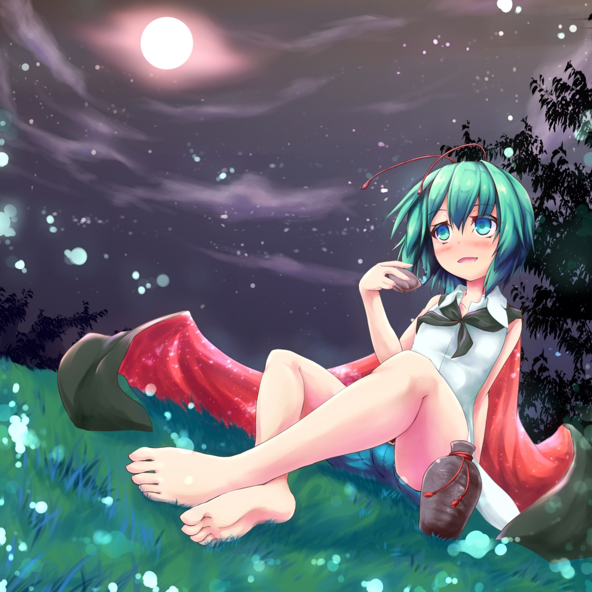 feet killing sake touhou wriggle_nightbug