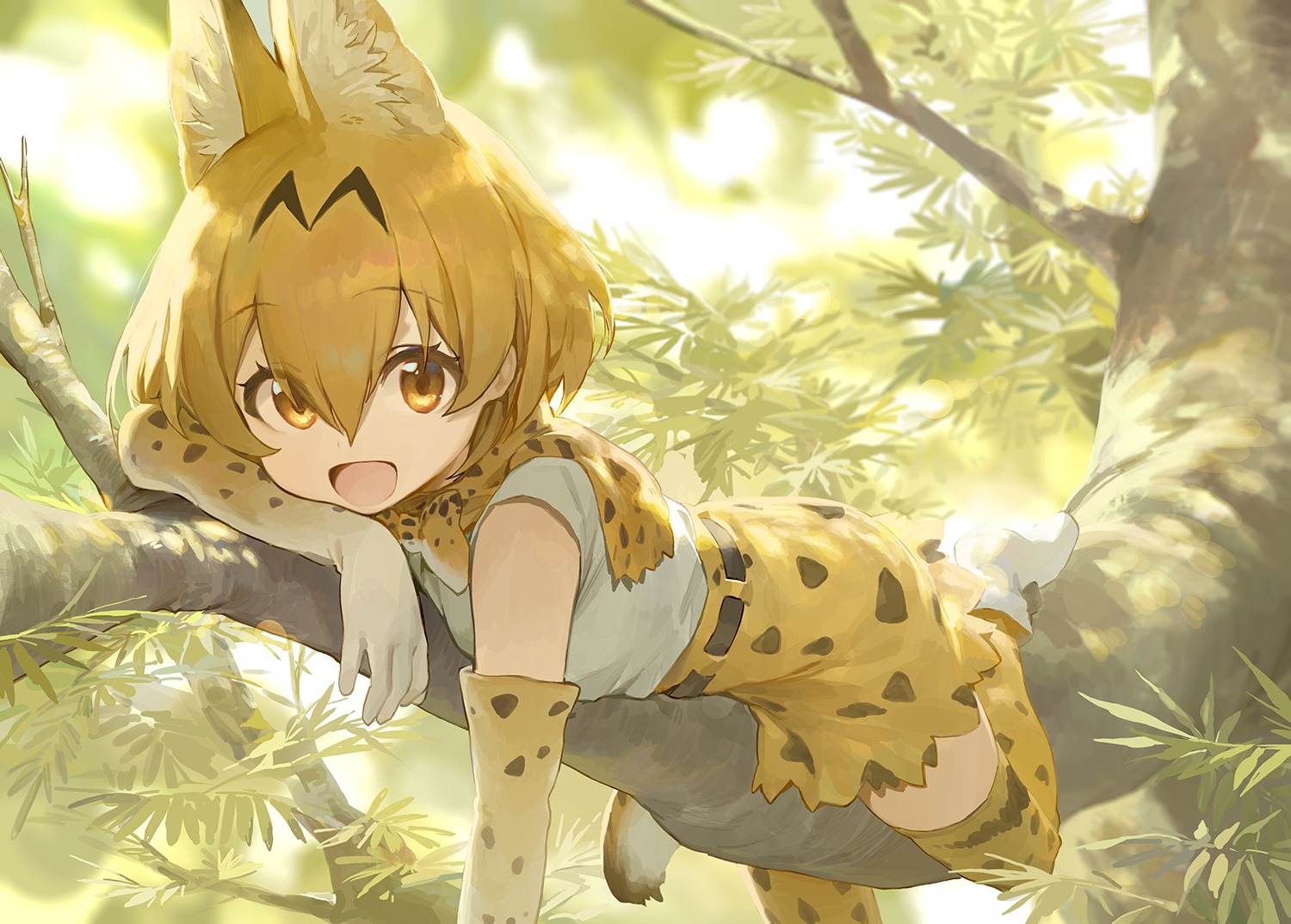 animal_ears kemono_friends modare serval tail thighhighs