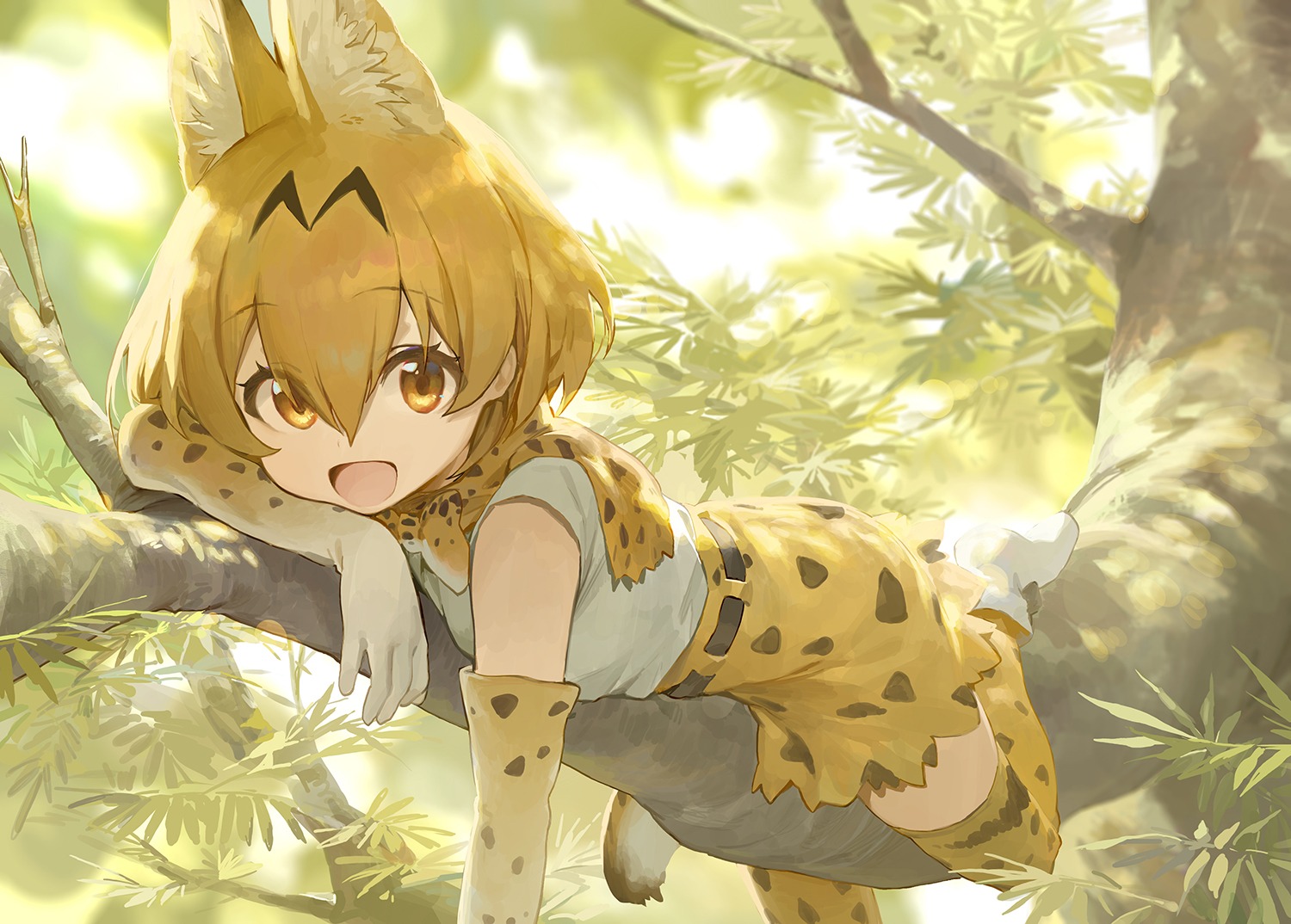 animal_ears kemono_friends mossi serval tail thighhighs