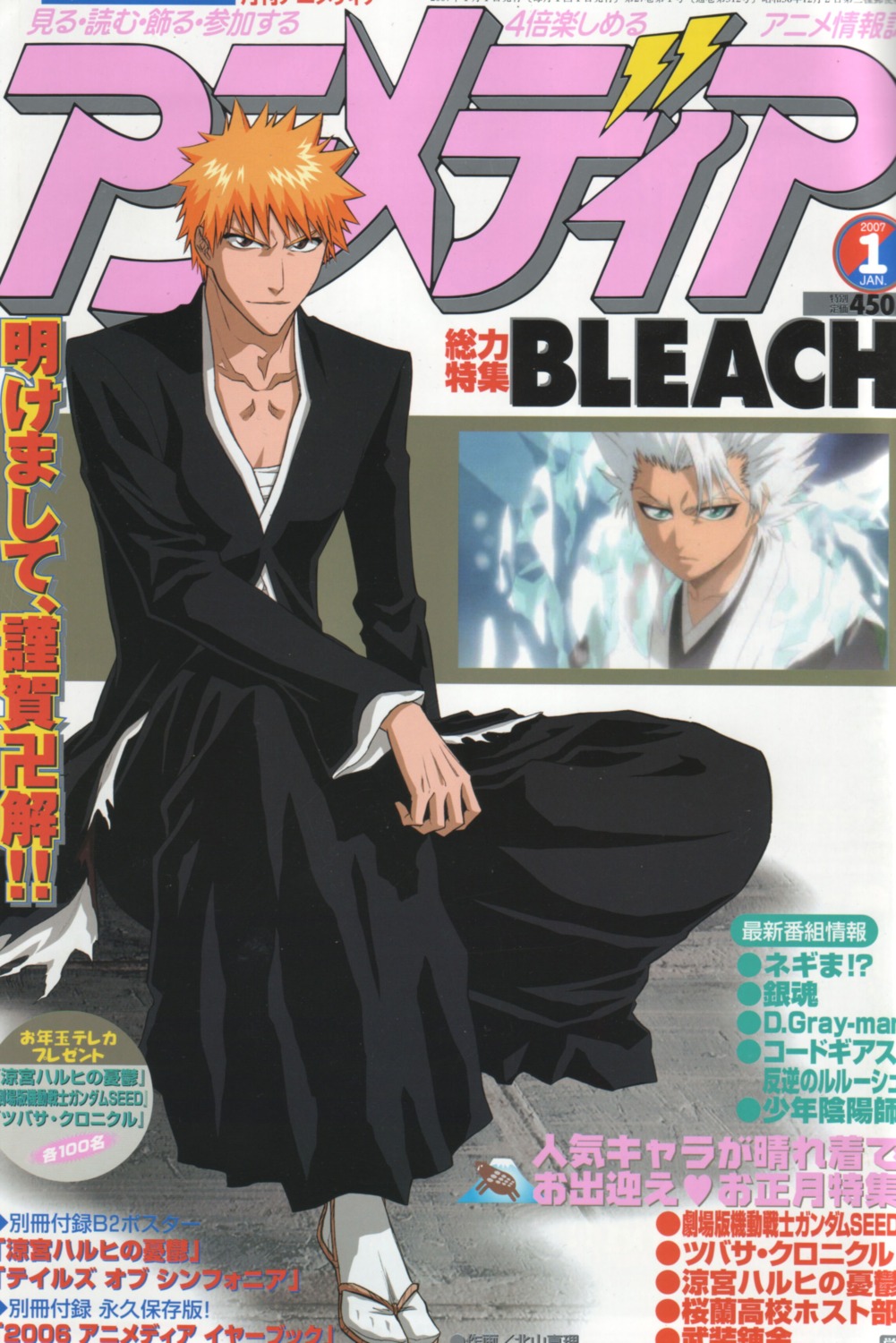 bleach hitsugaya_toushirou kurosaki_ichigo male