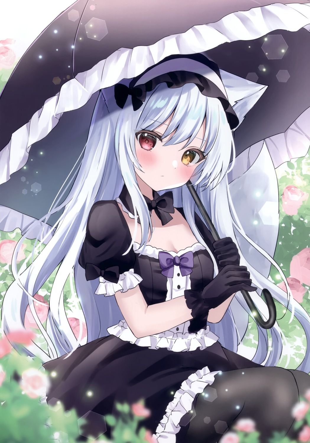 animal_ears gothic_lolita hamico heterochromia lolita_fashion nekomimi omochi_box pantyhose tail umbrella