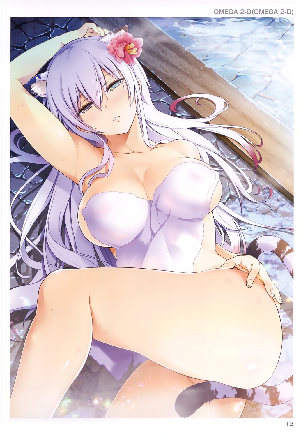 animal_ears naked omega_2-d onsen overfiltered tail toranoana towel